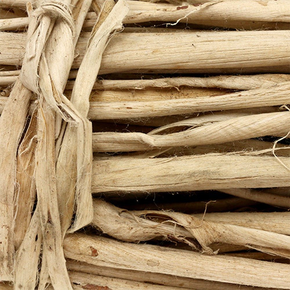 Trockenblume Maulbeerbaumrinde Natur 1kg - Deko, Basteln, Kreativ, Viana, Höhe 20 cm