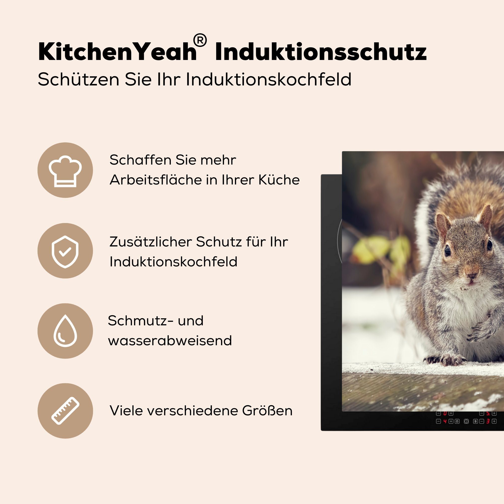 küche Herdblende-/Abdeckplatte - für Wildtier - 78x78 Winter, Eichhörnchen Vinyl, Arbeitsplatte Ceranfeldabdeckung, MuchoWow tlg), cm, (1