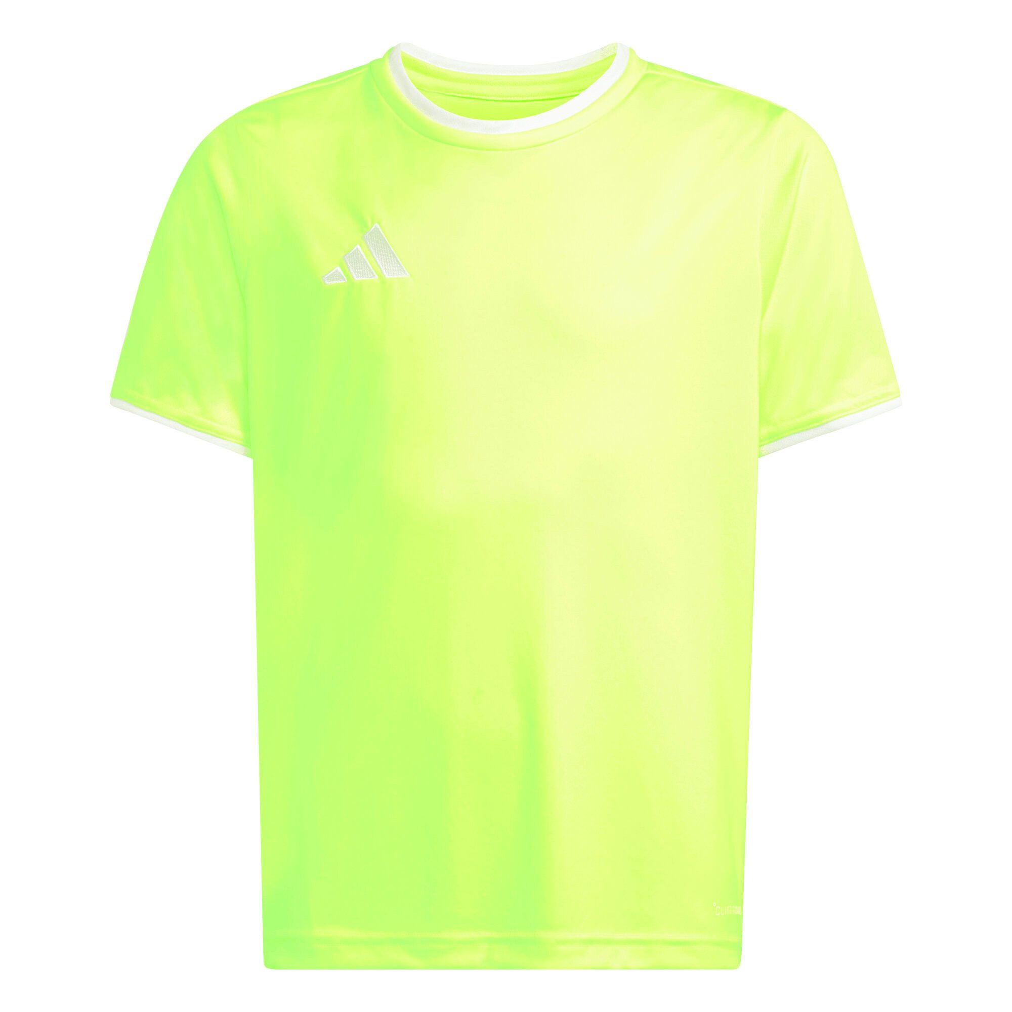 Team Solar Yellow 2 / White