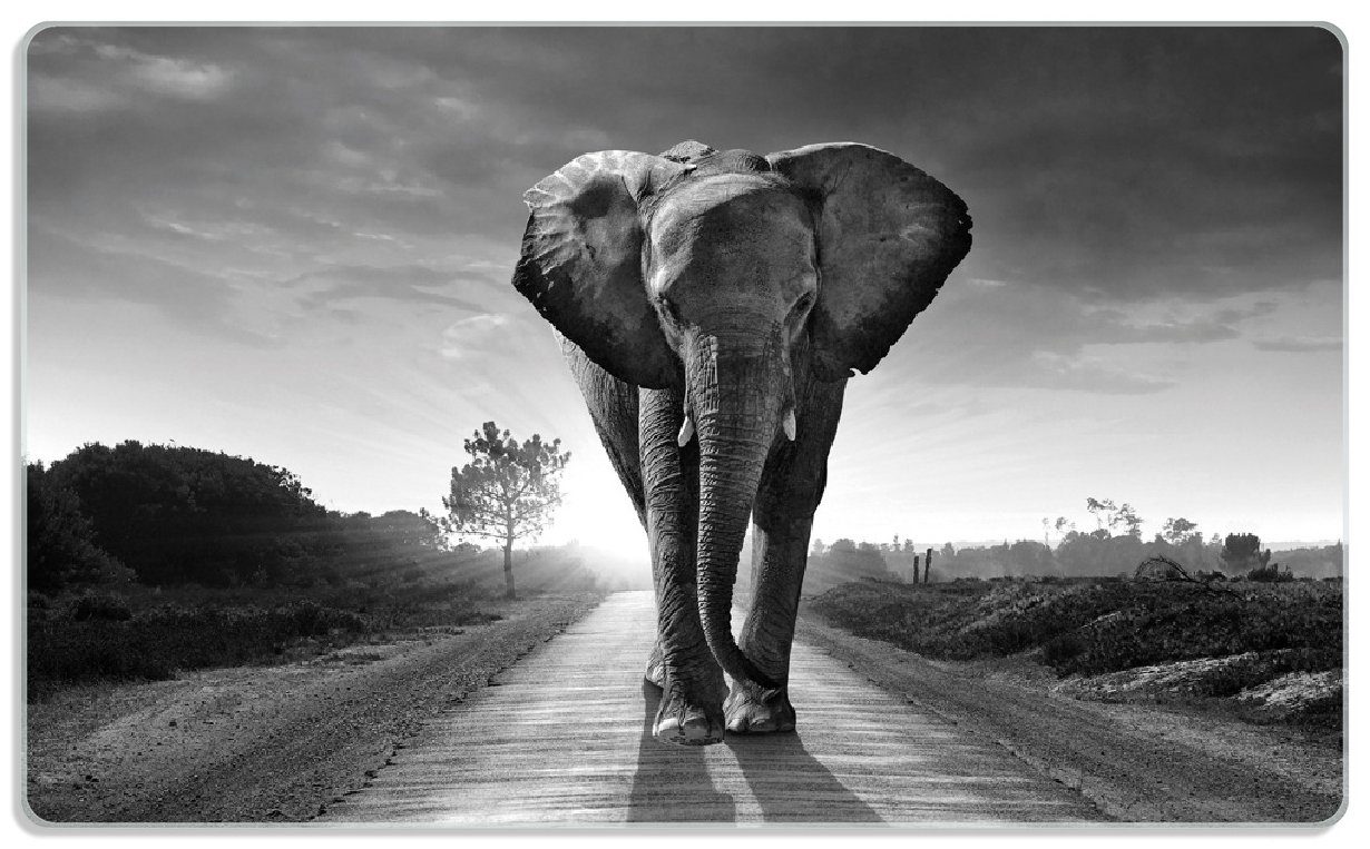 Wallario Frühstücksbrett Elefant bei Sonnenaufgang in Afrika schwarzweiß, ESG-Sicherheitsglas, (inkl. rutschfester Gummifüße 4mm, 1-St), 14x23cm
