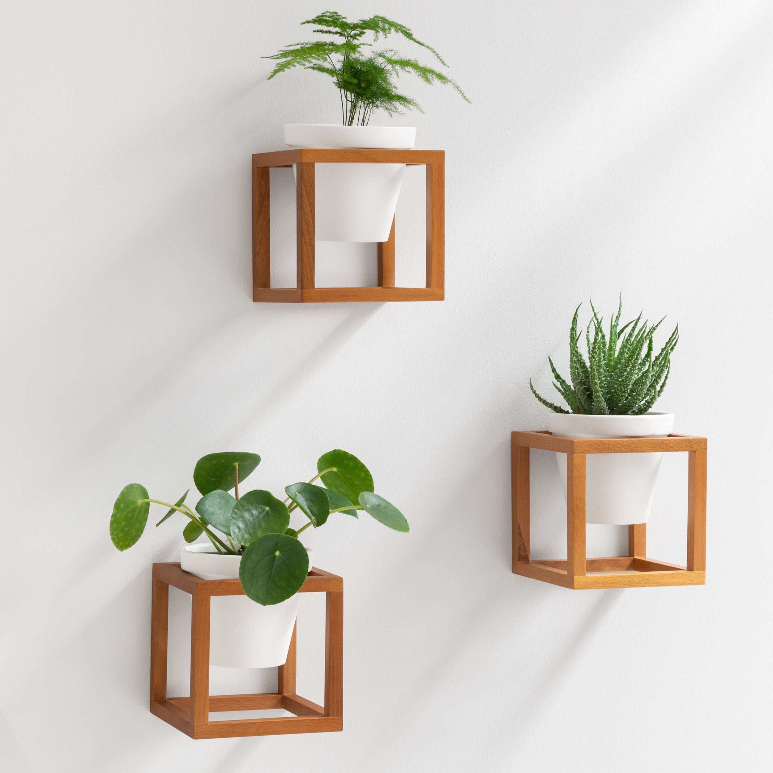 KAZAI. Blumentopf Wandvasen in massiver Buche (Set, aus massivem