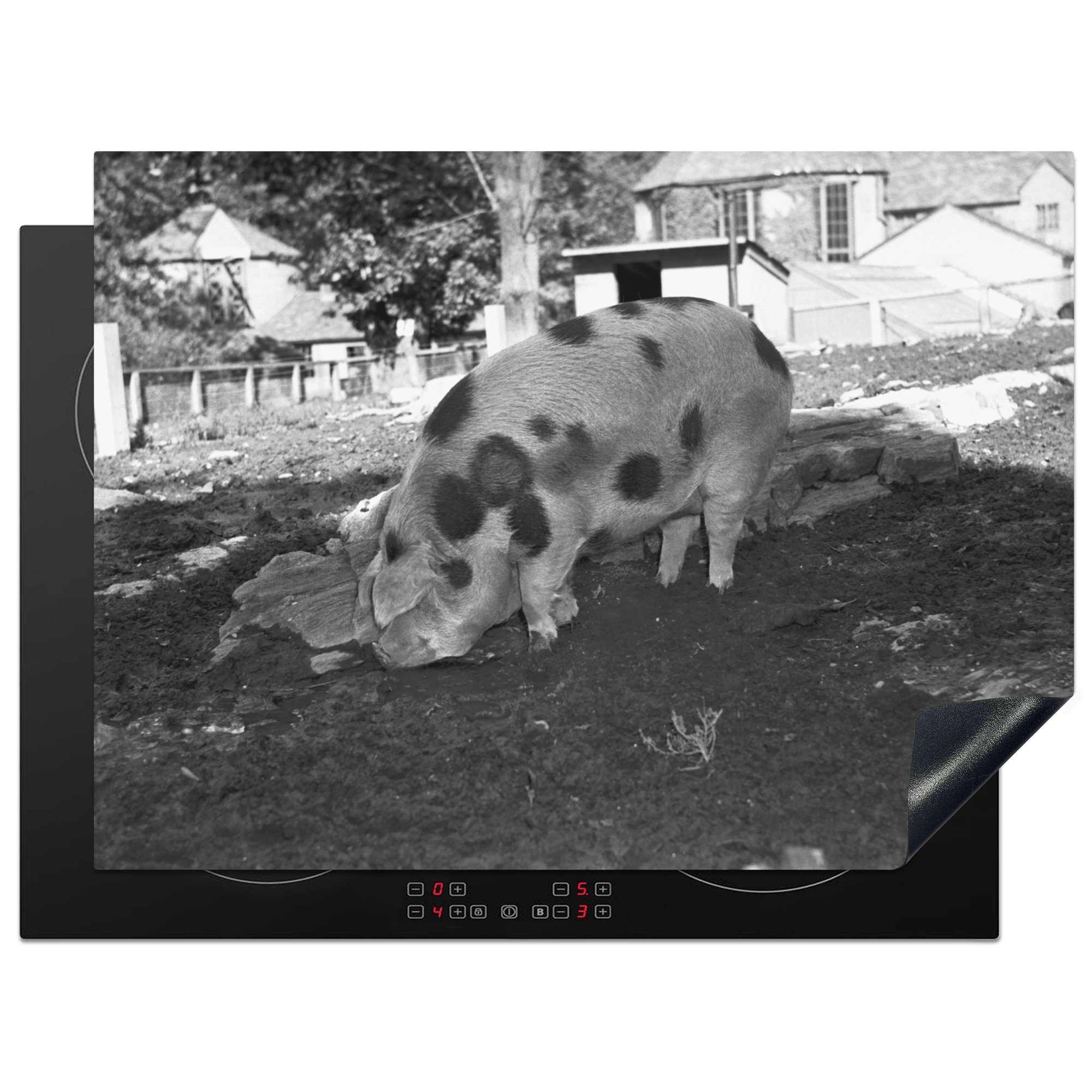 Gepunktetes Arbeitsfläche schwarz Herdblende-/Abdeckplatte weiß, tlg), Ceranfeldabdeckung und Schlamm (1 70x52 Vinyl, cm, MuchoWow Mobile im - nutzbar, Schwein