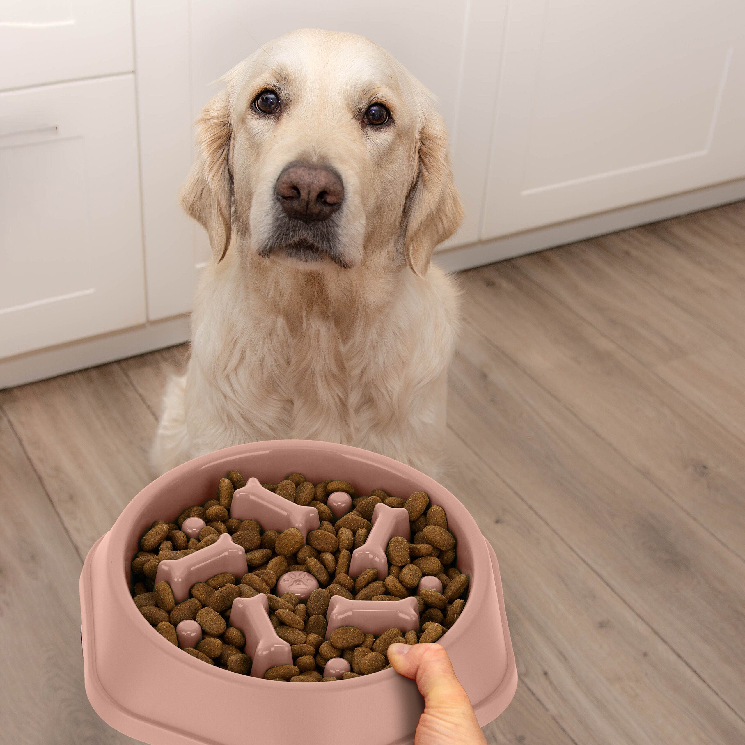 relaxdays Antischlingnapf 2 x Anti Schling Napf 500 ml