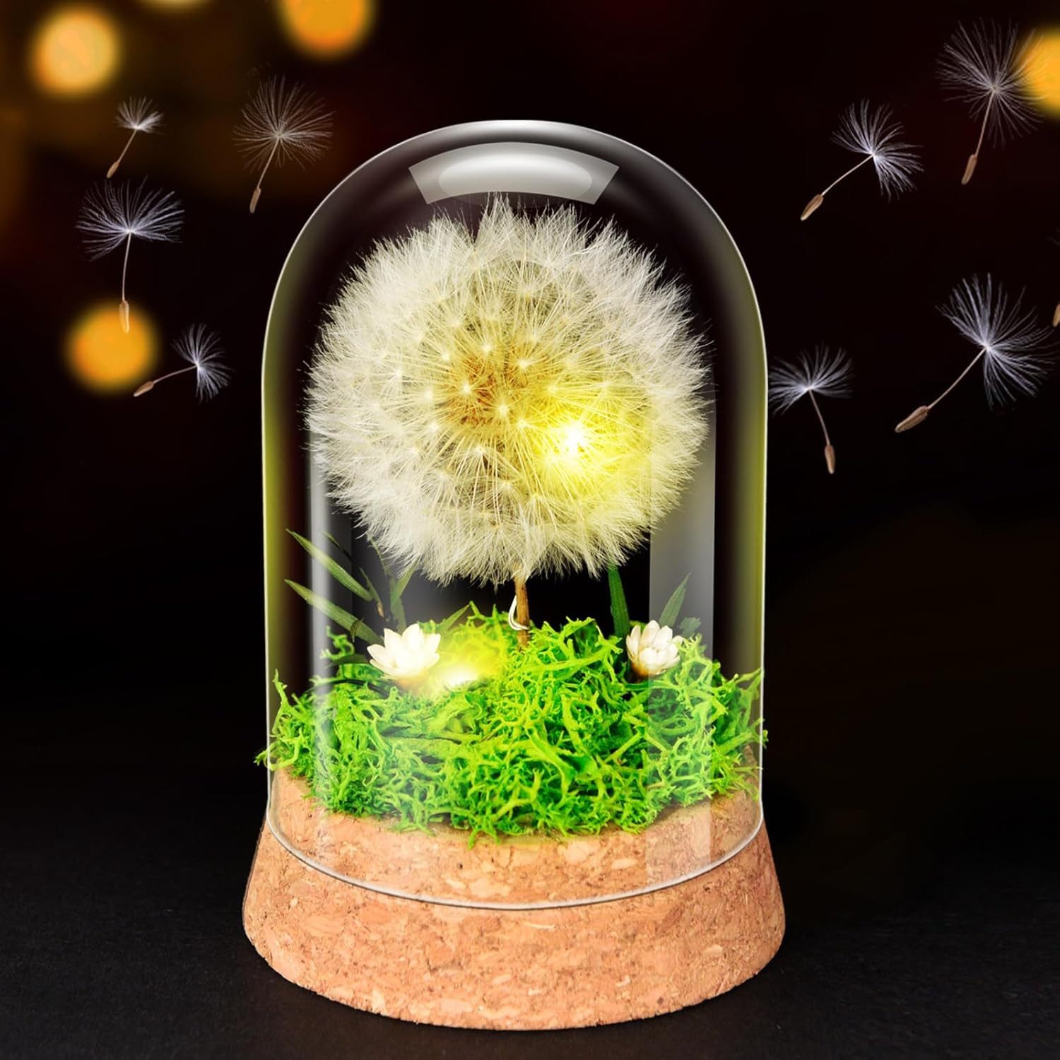 Trockenblume Wunscherfüller Pusteblume im Glas mit günstig online kaufen