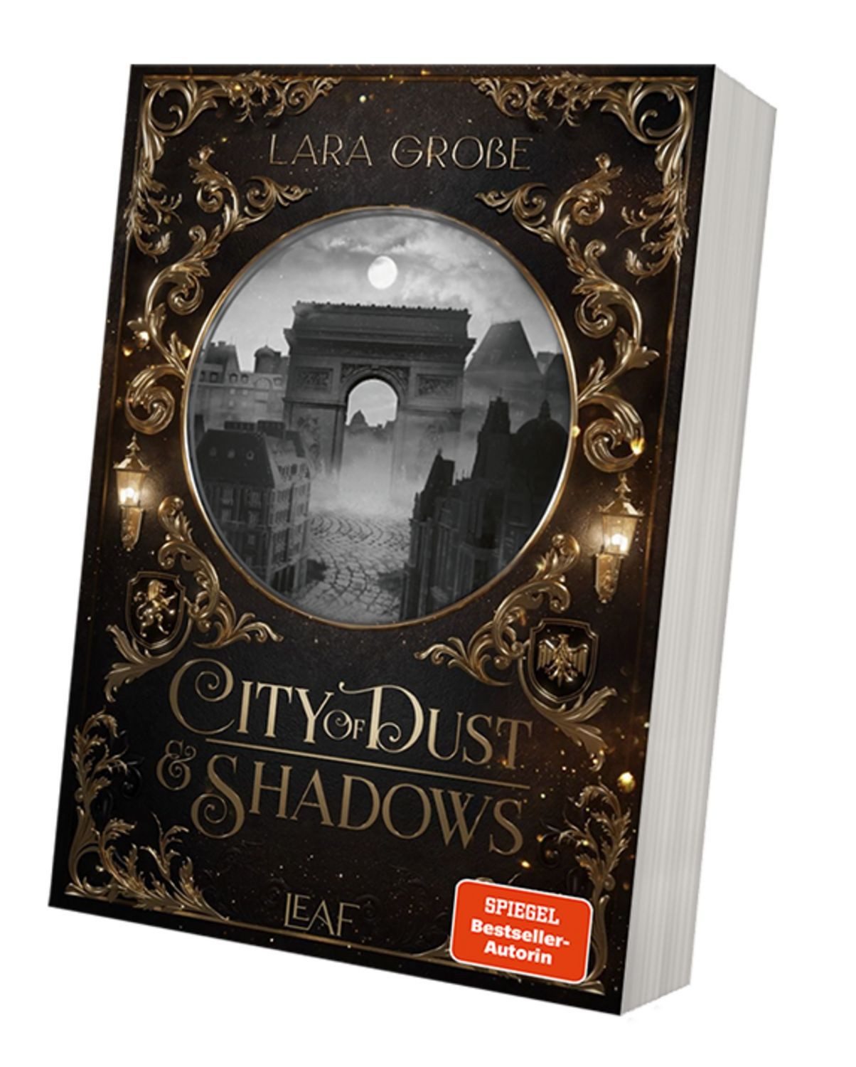 City of Dust and Shadows / Lara Grosse