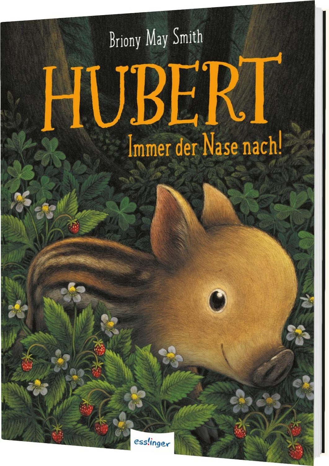 Kinderbuch Hubert Immer der Nase nach!, Mutmachende Geschichte über Selbstvertra Briony May Smith