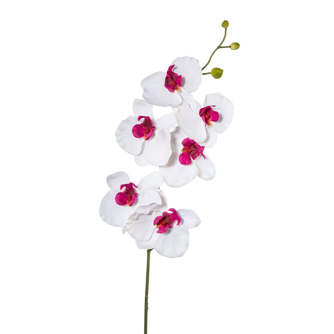 Kunstorchidee Kunstblume Phalaenopsis, künstlicher Orchideen-Zweig 76cm, Ga günstig online kaufen