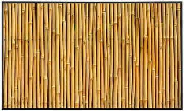 Papermoon Infrarotheizung Bambus, Pflanzen als Bildheizung, im schwarzen Aluminiumrahmen, HZ(4834), TÜV-Rheinland/GS zertifiziert, angenehme Strahlungswärme