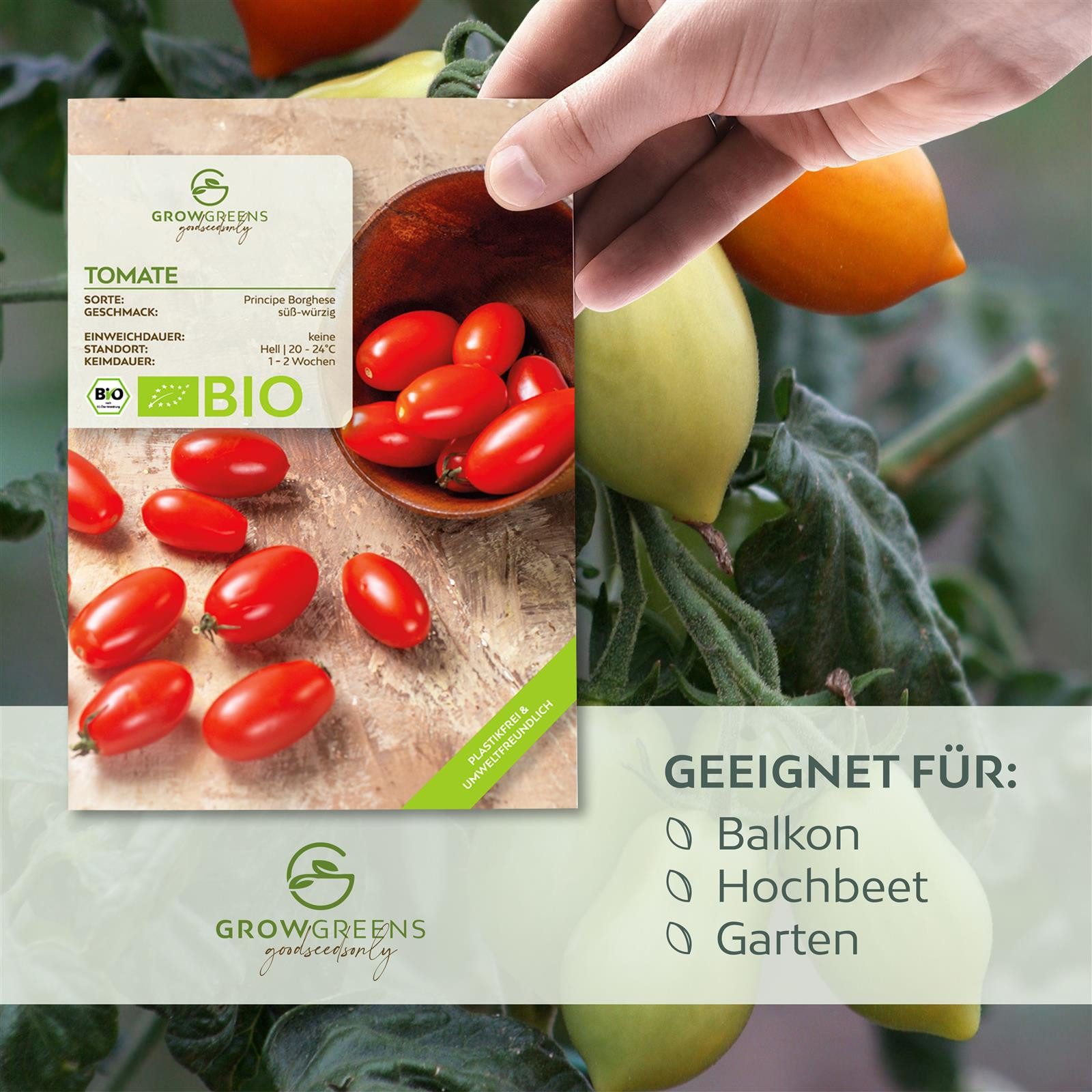 Growgreens Gemüsesamen BIO Tomatensamen (Principe Borghese) - Tomaten Saatg günstig online kaufen