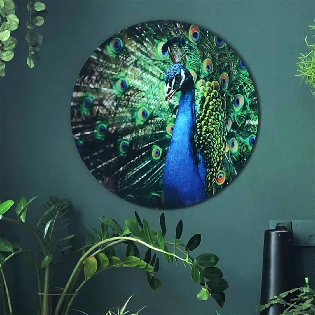 K&L Wall Art Gemälde Glas Wandbild günstig online kaufen