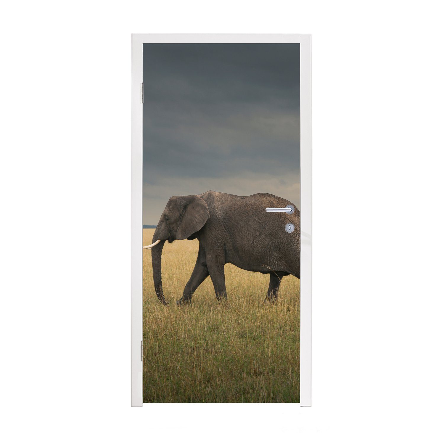MuchoWow Türtapete Elefant - Savanne - Tiere - Natur, Matt, bedruckt, (1 St), Fototapete für Tür, Türaufkleber, 75x205 cm