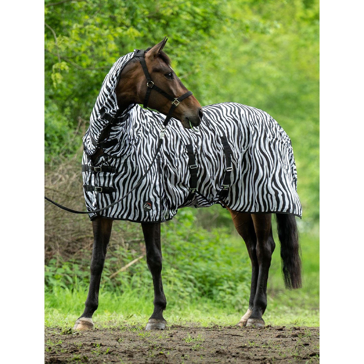 HKM Pferde-Fliegendecke Zebra mit Halsteil und Bauchlatz