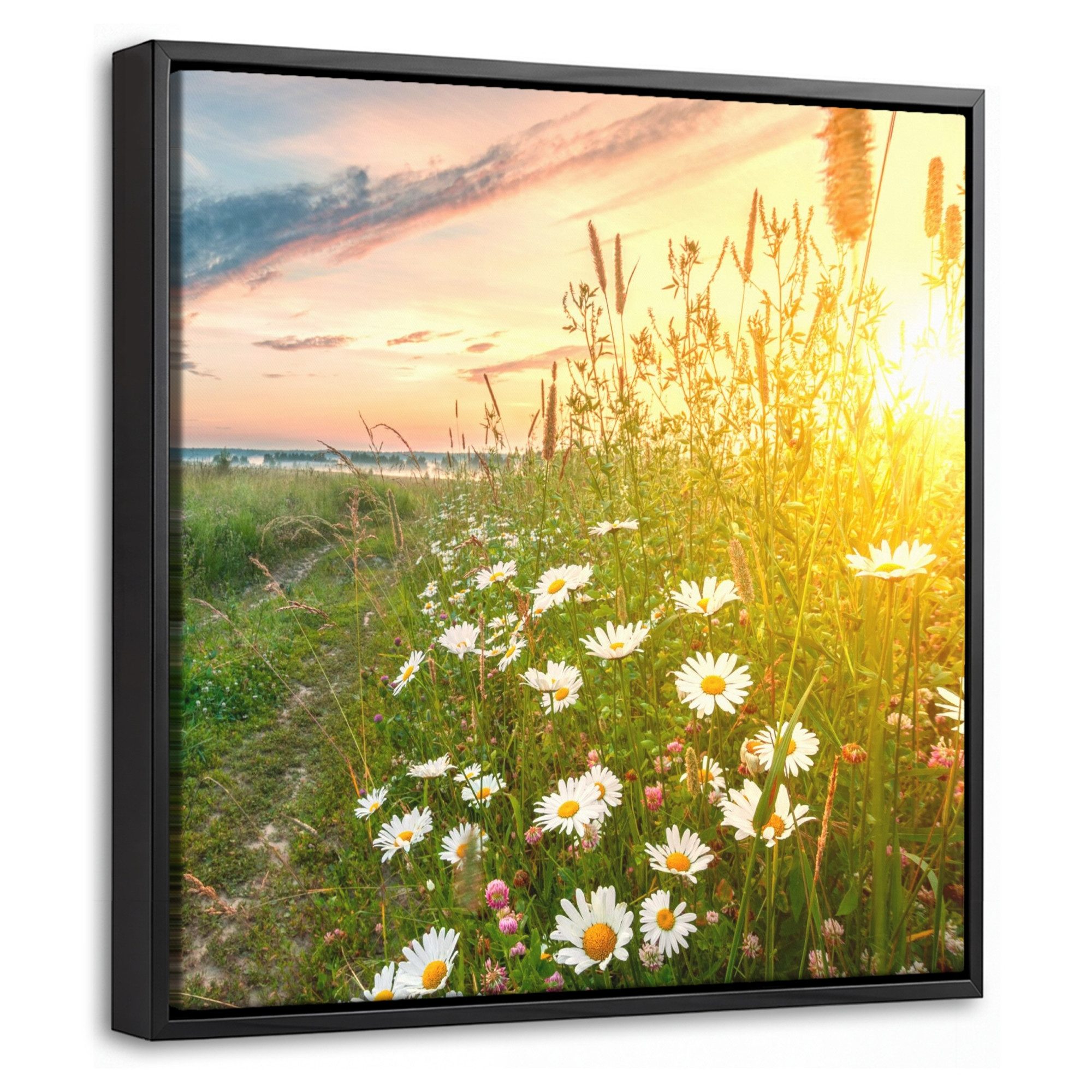 OneMillionCanvasses® Leinwandbild mit Rahmen - Blumen - Gänseblümchen - Natur - Sonne - Horizont, Fotodruck (1 St), Leinwand Bilder Klein, Wand Dekoration Aesthetic 20x20cm