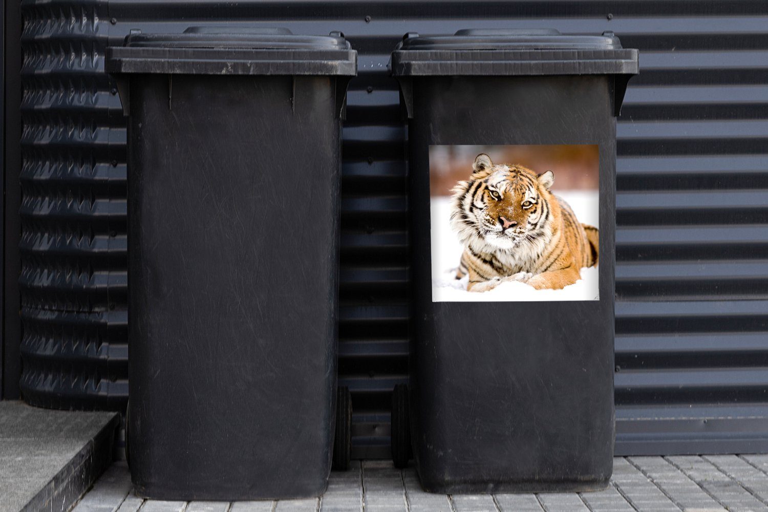 MuchoWow Wandsticker (1 Schnee Mülleimer-aufkleber, - St), Tiger Sticker, Mülltonne, Abfalbehälter Weiß Container, 