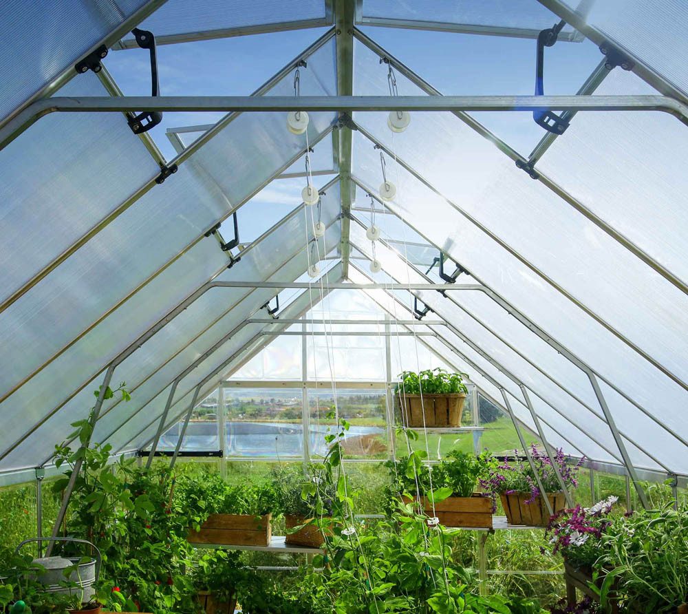 Palram - Canopia Gewächshaus, x 257  | ...