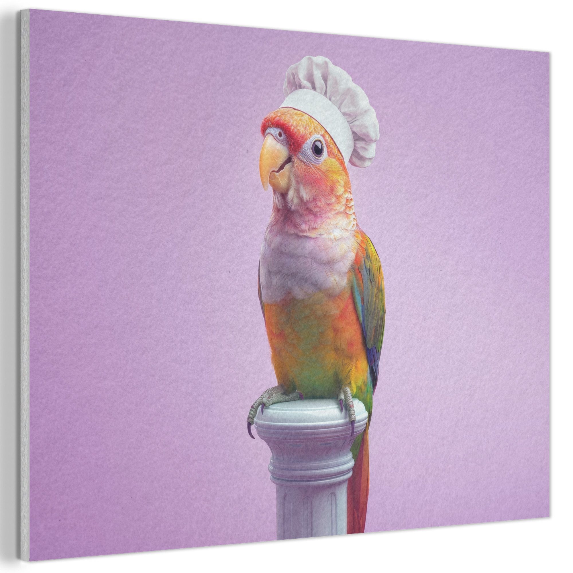 Hut des Hahns - Sittich - Lila