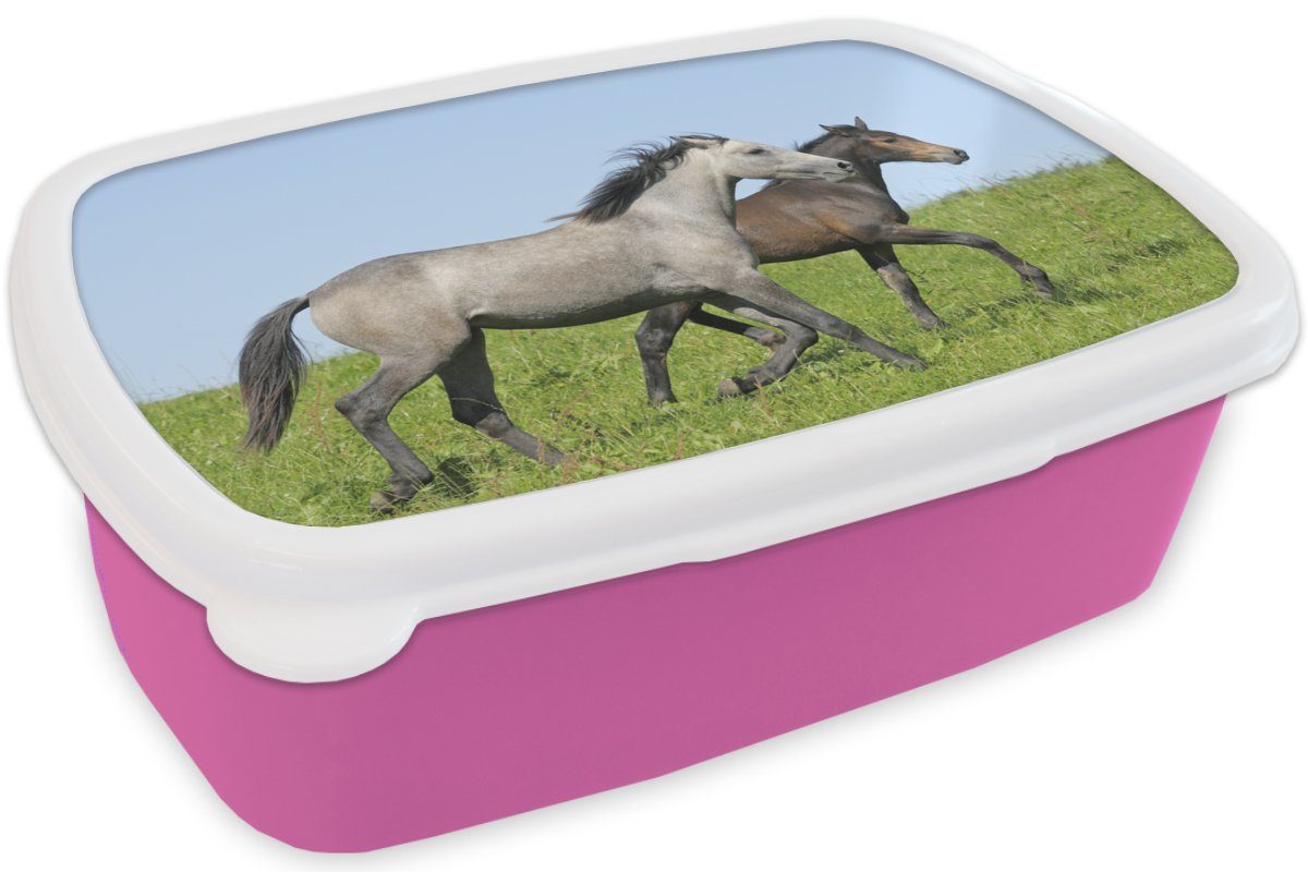 - (2-tlg), Kinder, Pferde Kunststoff Gras, Kunststoff, Brotdose Mädchen, - für rosa Erwachsene, Snackbox, MuchoWow Brotbox Lunchbox Tiere