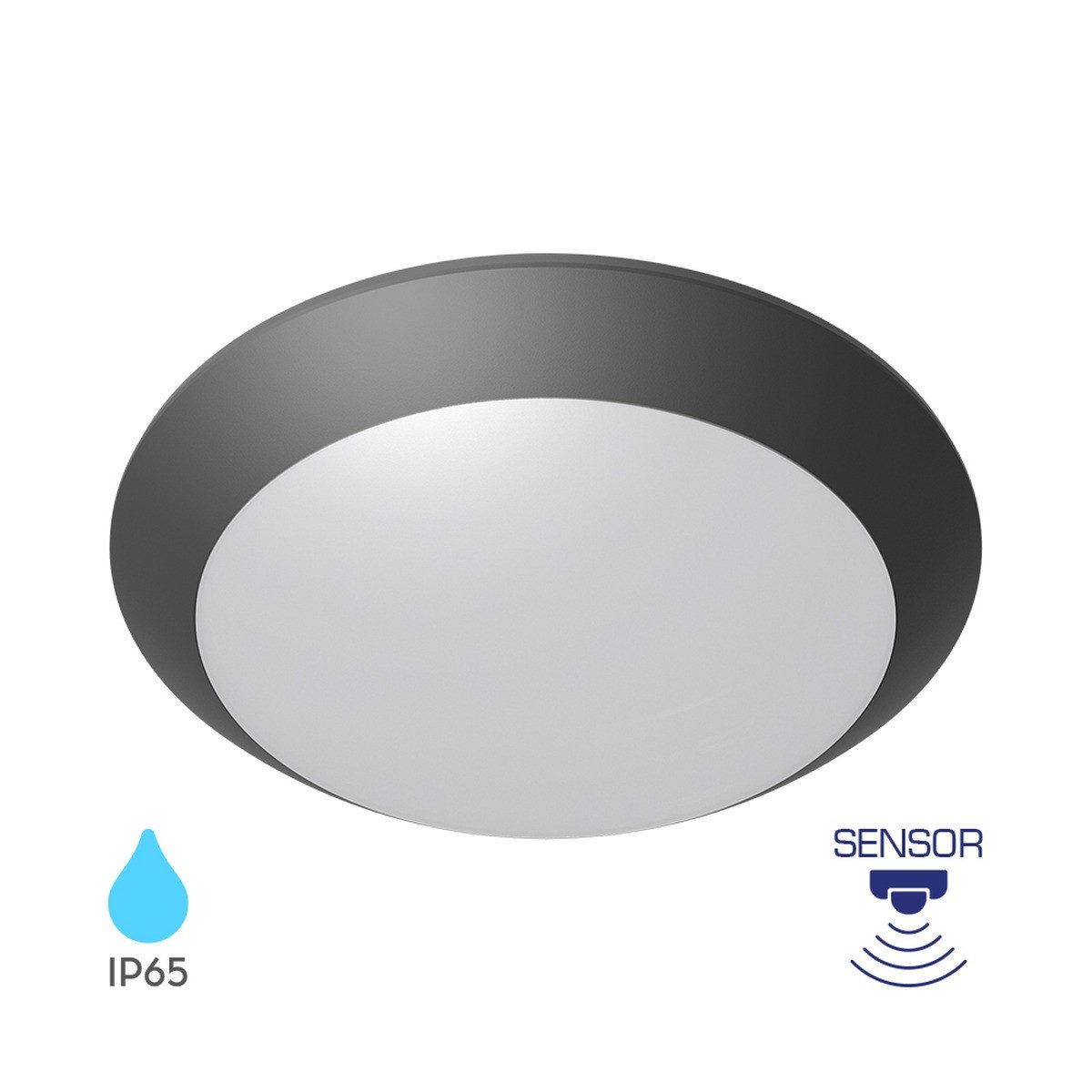 Braytron LED Deckenleuchte Außen Deckenlicht IP65 Ø265mm – E27 Fassung Bewegungsmelder, ohne Leuchtmittel, IP65 wasserdicht, Für den Außenbereich geeignet