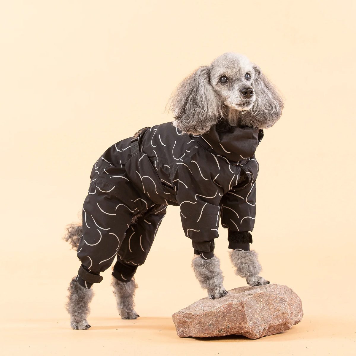 PAIKKA Hundeoverall Hunde Overall "Winter Suit" schwarz