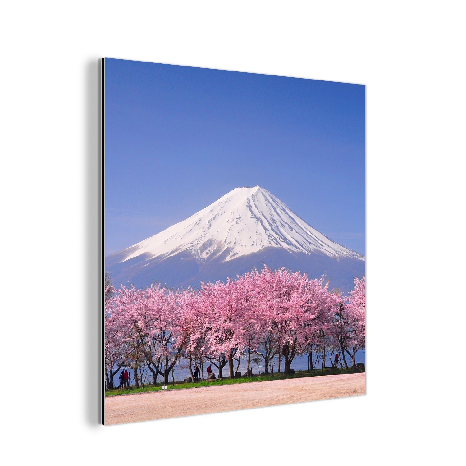 MuchoWow Metallbild Fuji in Asien (1 aus Alu-Dibond-Druck, im deko Metall, St), Kirschblüten mit Vordergrund, Gemälde Aluminium