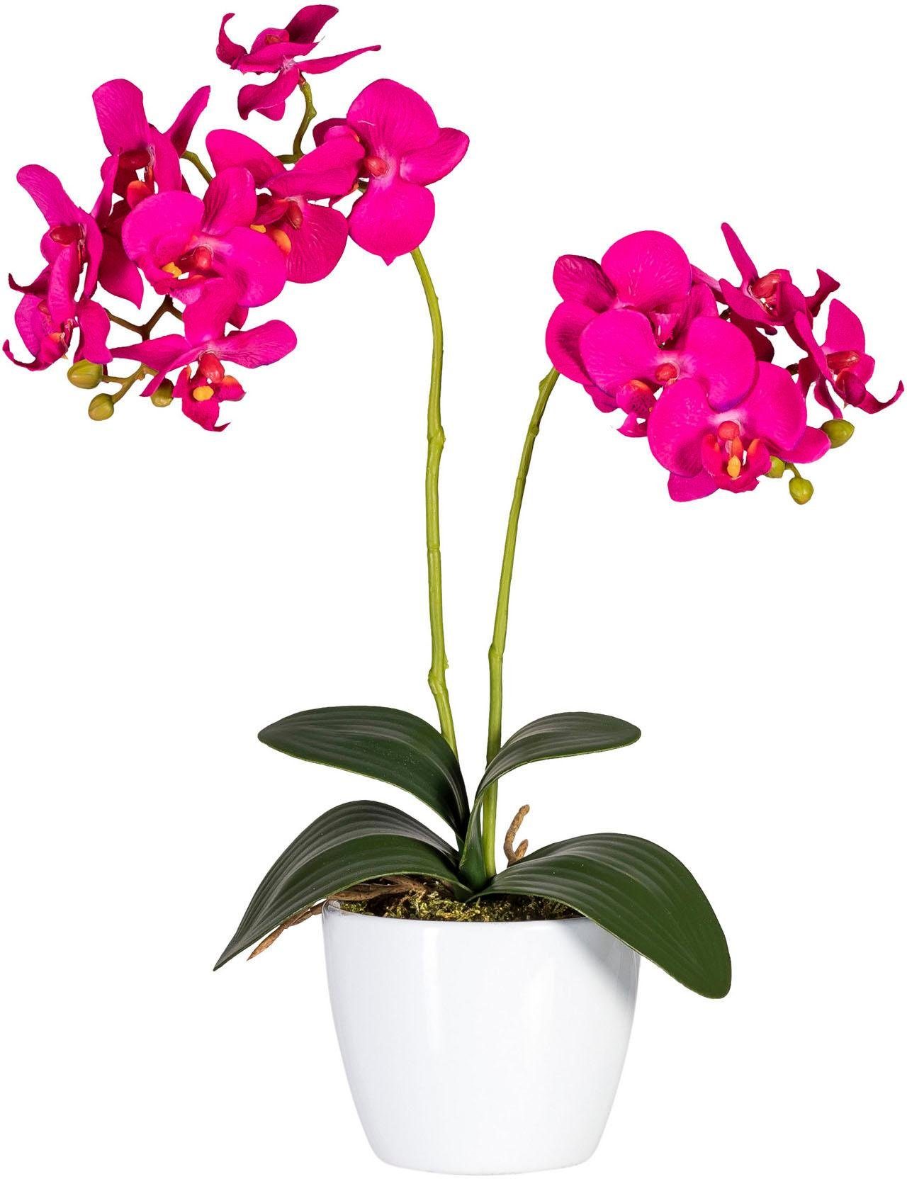 Kunstpflanze Phalaenopsis Orchidee, Creativ green, Höhe 50 cm