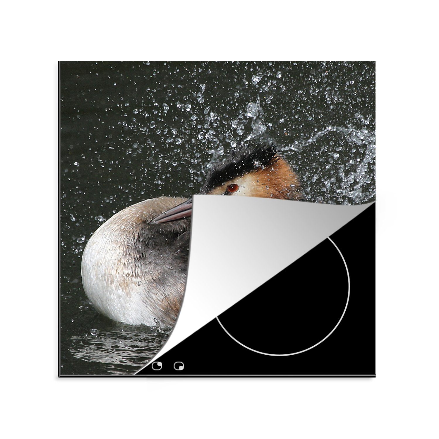 MuchoWow Herdblende-/Abdeckplatte Haubentaucher - Wasser 78x78 cm, Arbeitsplatte für - Vinyl, (1 tlg), Ceranfeldabdeckung, Vogel, küche