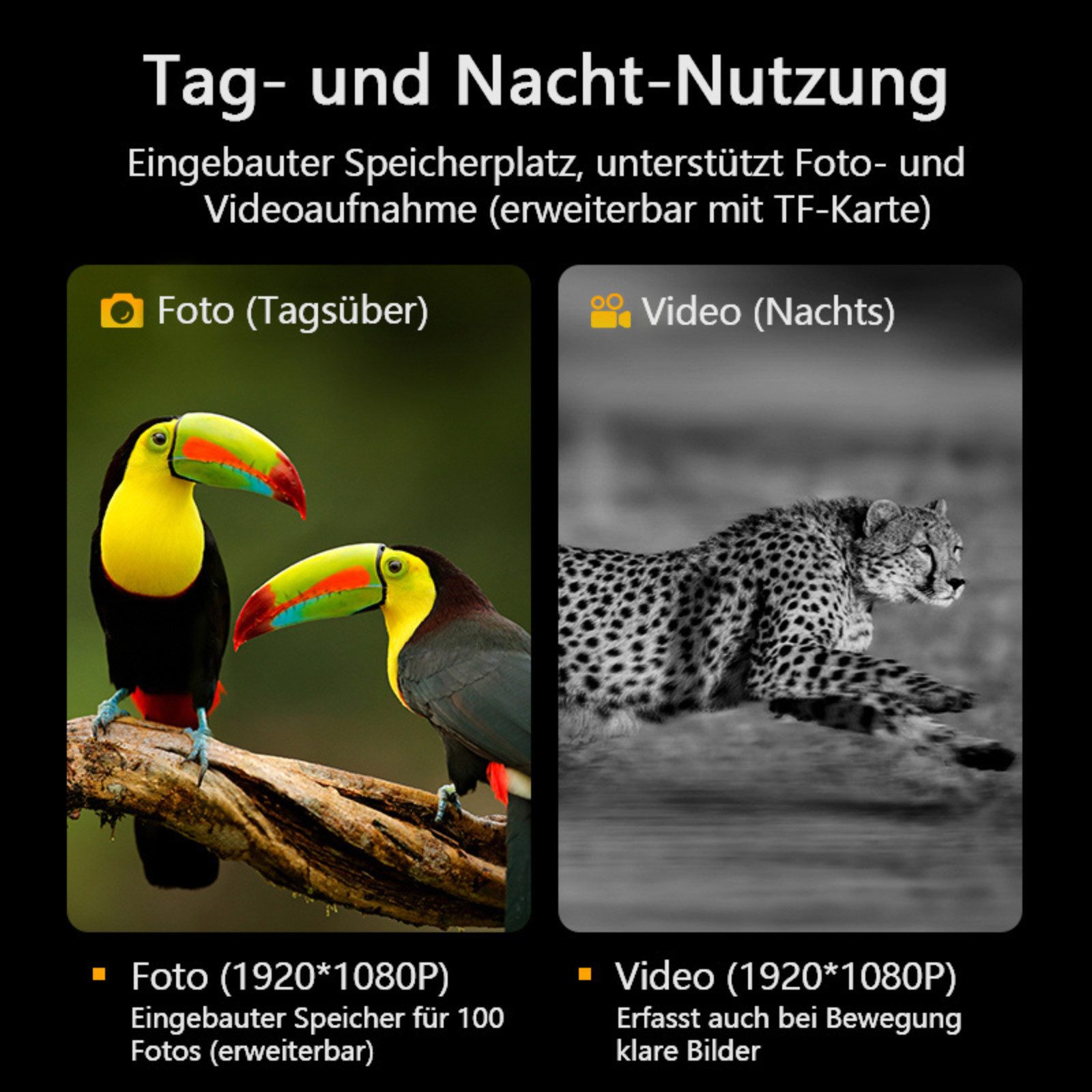 Tekoo Nachtsichtgerät Digitales Nachtsichtgerät mit Infrarot, 800m Sicht & 1080P Video, Inklusive 64GB Micro-SD Speicherkarte