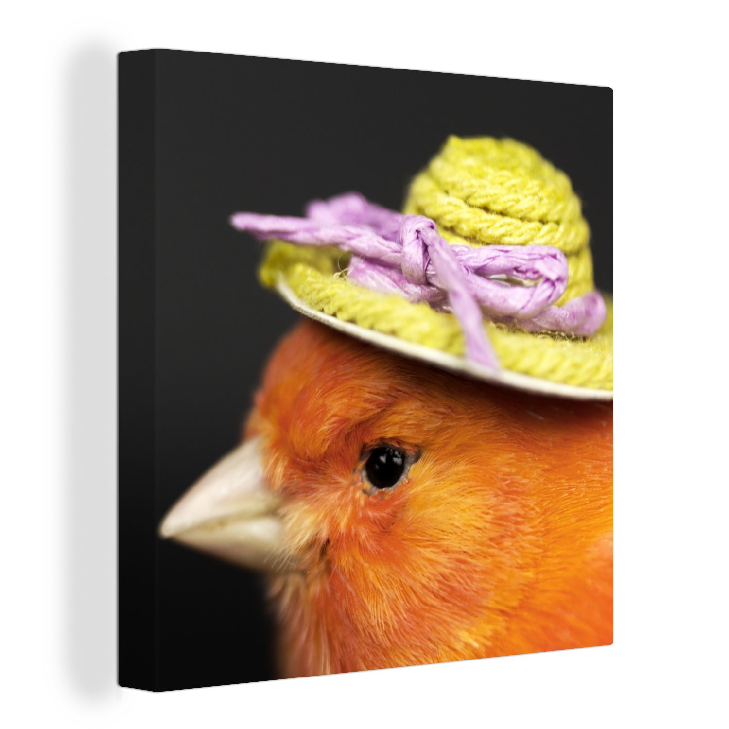 OneMillionCanvasses® Leinwandbild Vogel - Hut - Orange, (1 St), Leinwand Bilder für Wohnzimmer Schlafzimmer
