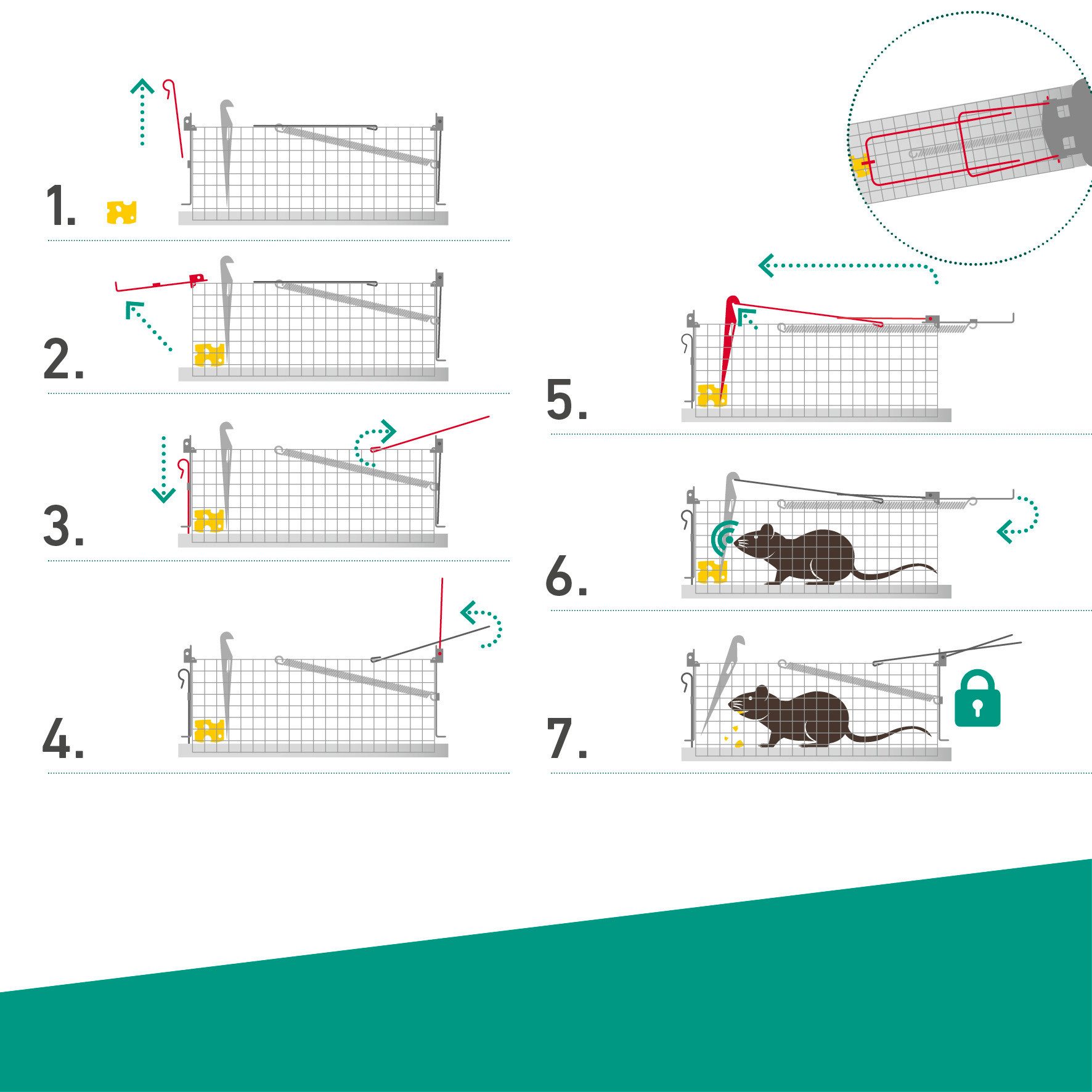 Windhager Mäusegitter Drahtkasten Mause- und Rattenfalle, 20x95x92 cm, 1-St., tierfreundliche Lebendfalle, 92 x 95 x 260 mm – Bild 5 von 5
