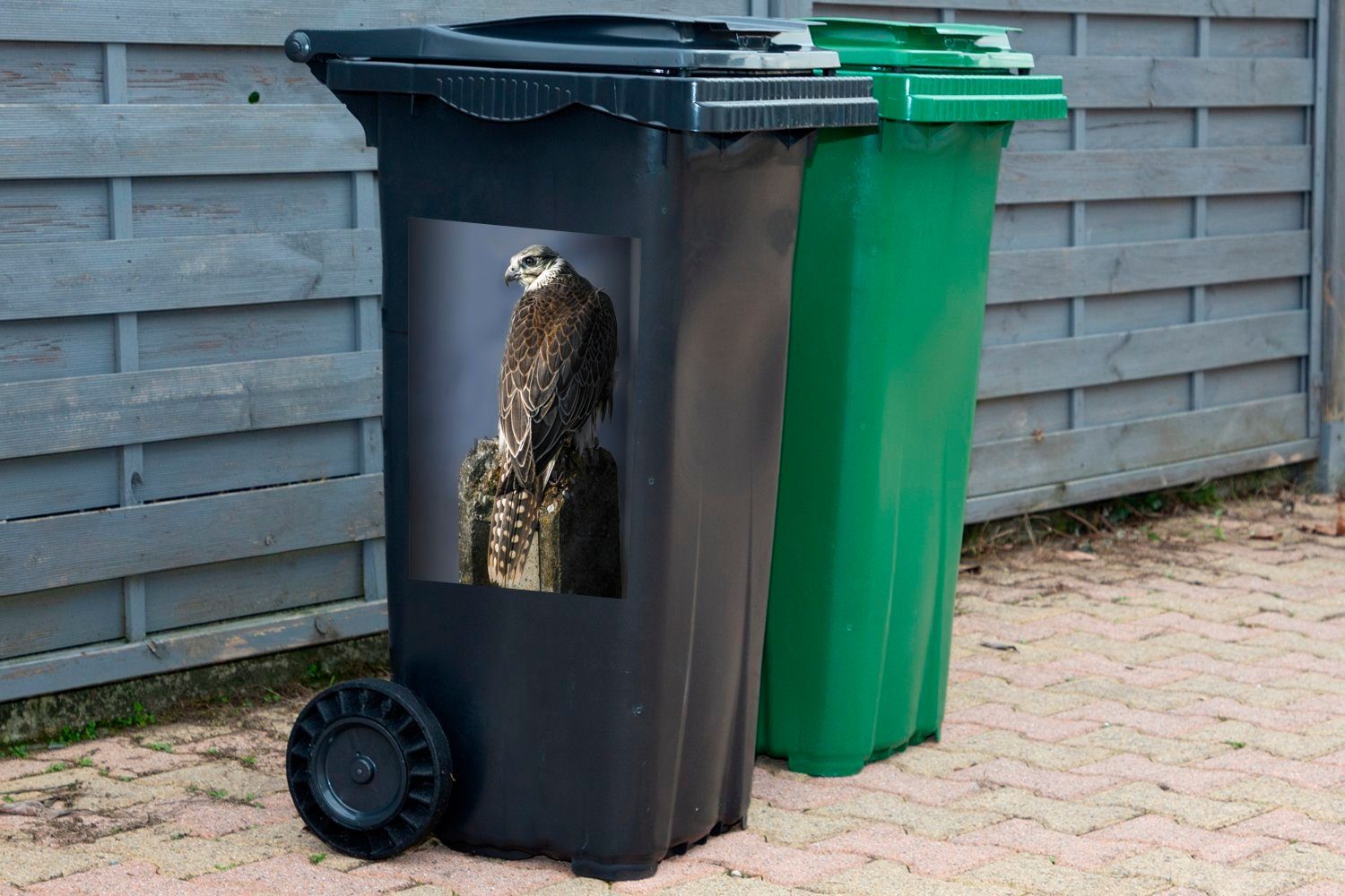 Wandsticker Falke - (1 Raubvogel Abfalbehälter Mülltonne, MuchoWow Sticker, St), Container, Stein - Mülleimer-aufkleber,