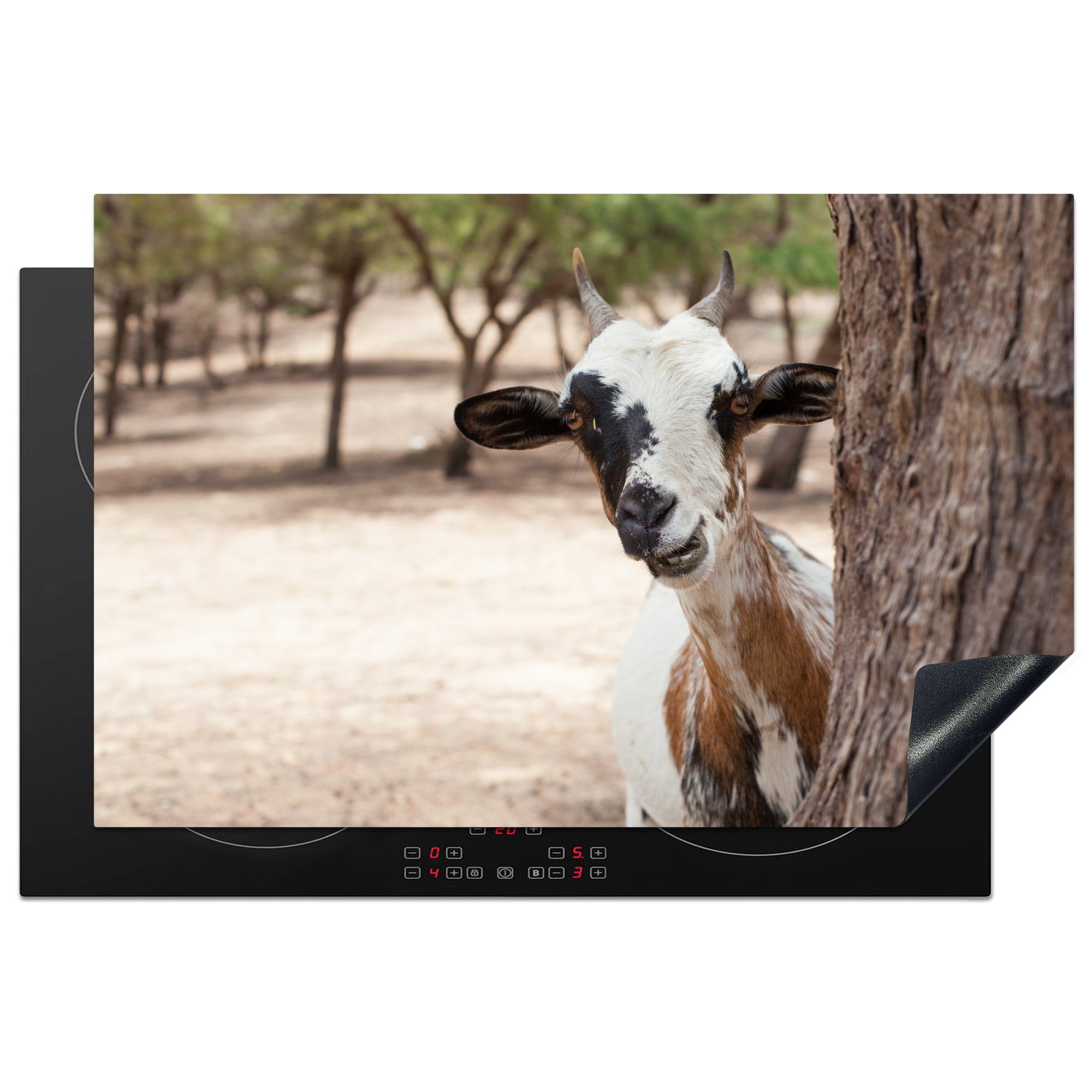 - Herdblende-/Abdeckplatte Ziege (1 die Baum Vinyl, für Tiere, Schutz tlg), 81x52 cm, Ceranfeldabdeckung MuchoWow Induktionskochfeld küche, -