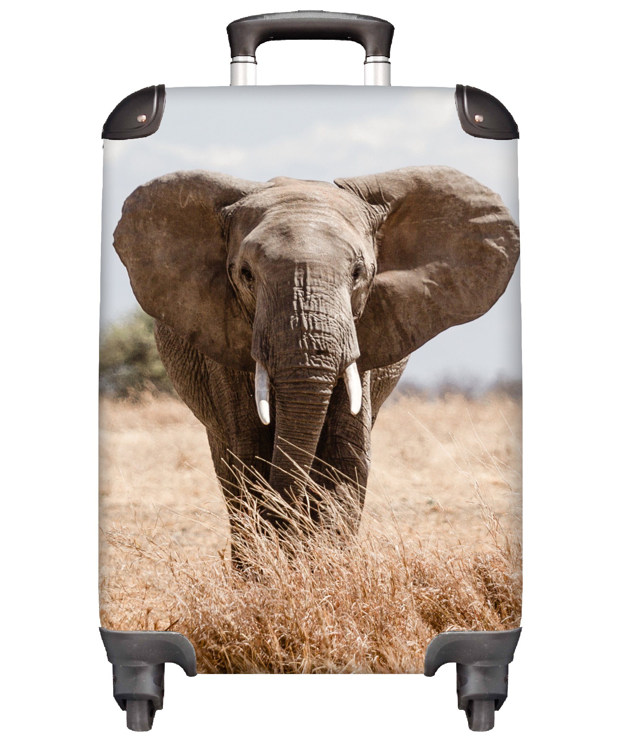 Handgepäckkoffer rollen, Trolley, für - Ferien, Porträt, Elefant Handgepäck Reisekoffer - Tiere 4 mit Natur - Reisetasche MuchoWow Rollen,