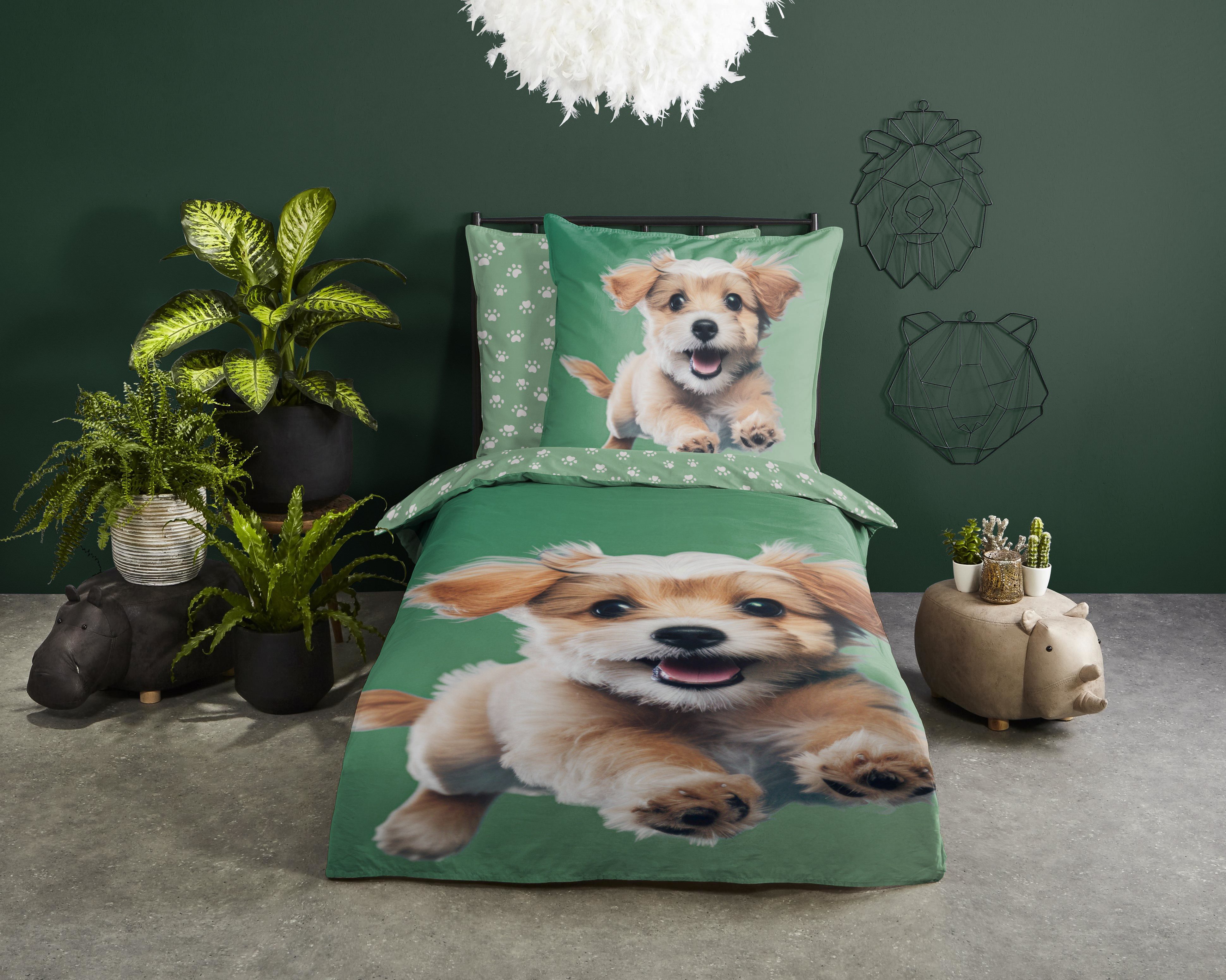 good morning Kinderbettwäsche Mambo, Renforcé, 2 teilig, Baumwolle, Renforcé, Wendeoptik, Kind, Hund, Grün