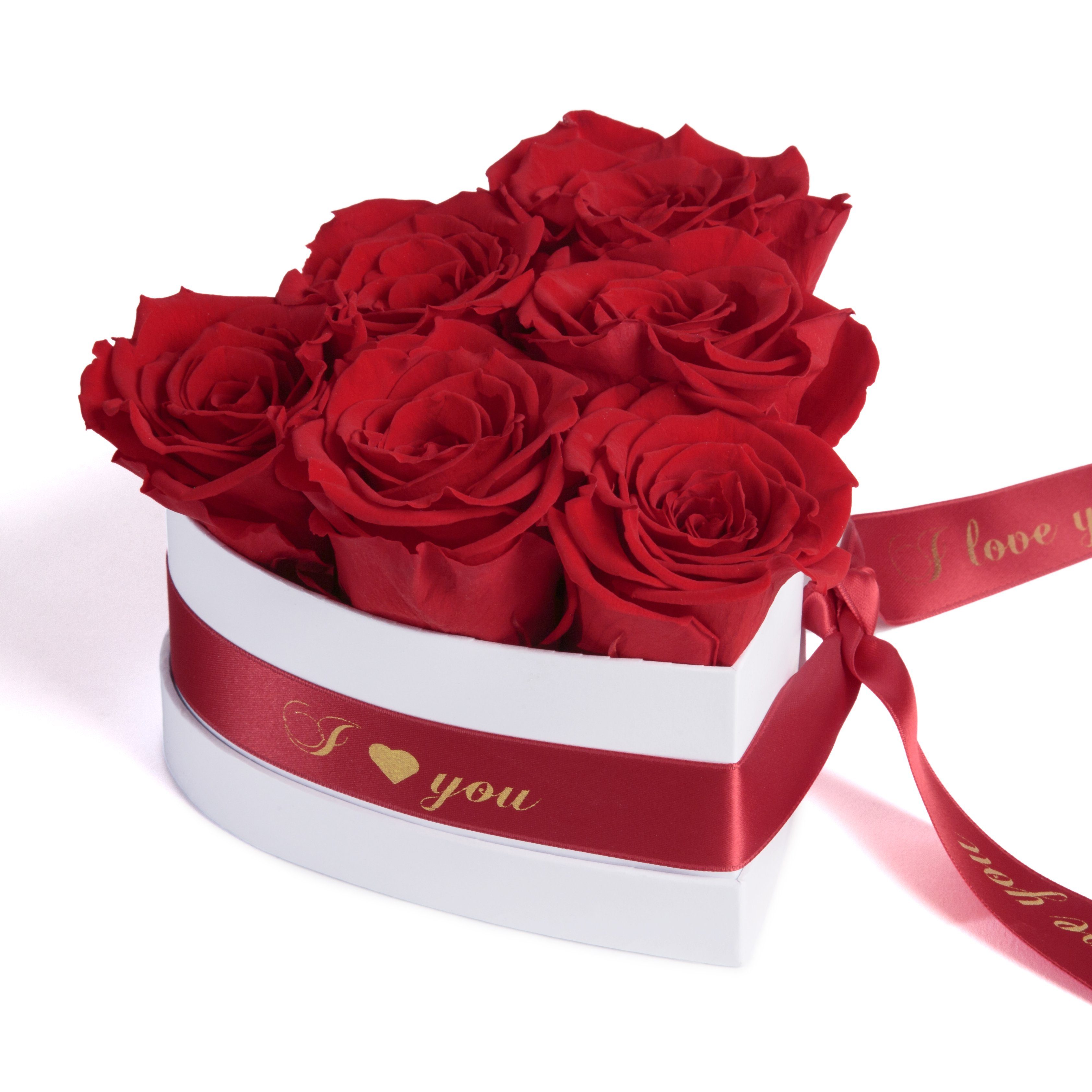 Kunstblume Infinity Rosenbox Herz 6 ewige Rosen I Love You Geschenk für Frauen Rose, ROSEMARIE SCHULZ Heidelberg, Höhe 10 cm, Valentinstag Geschenk für Frau Rot