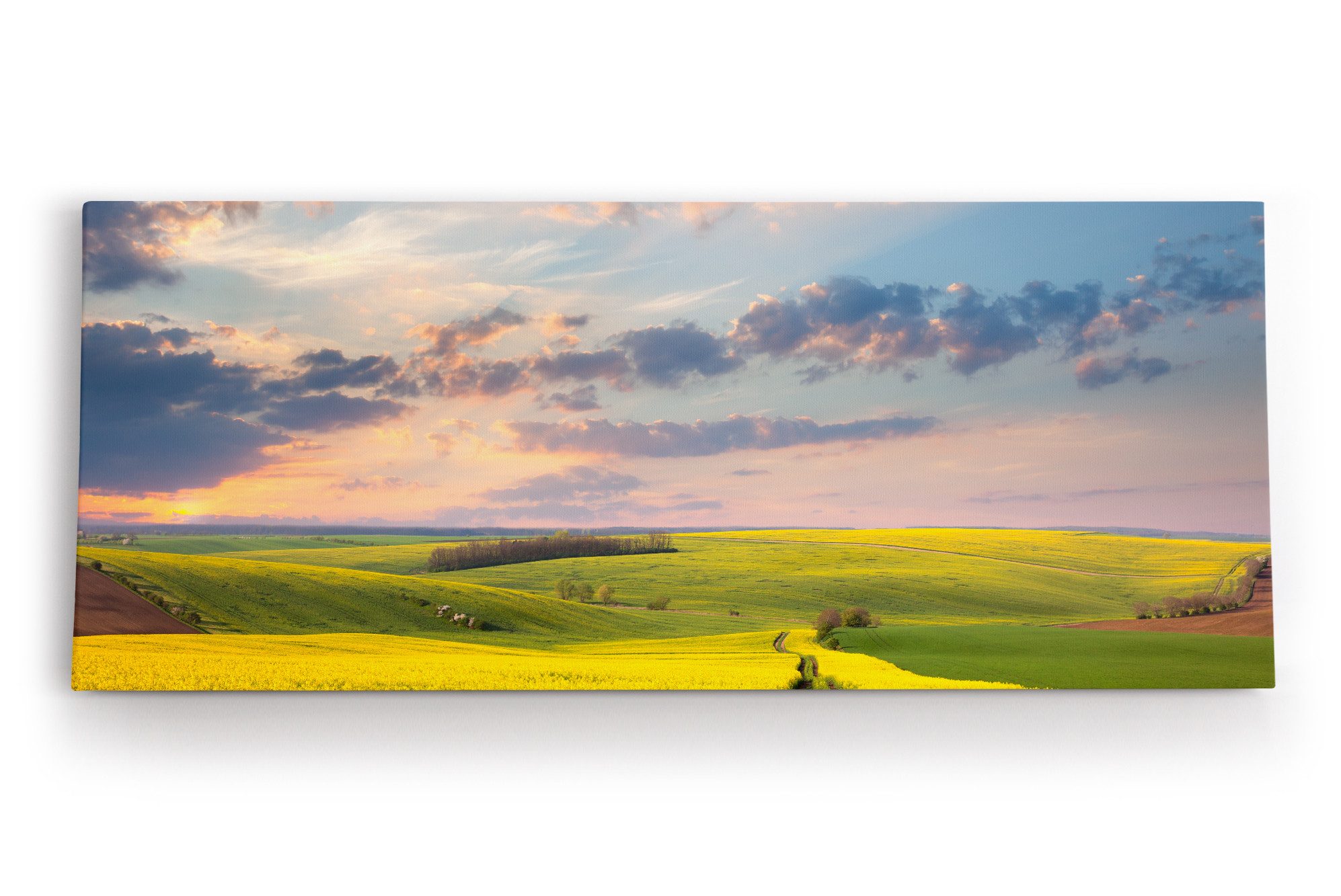 Leinwandbild Landschaft Felder Himmel Natur Gelb Horizont