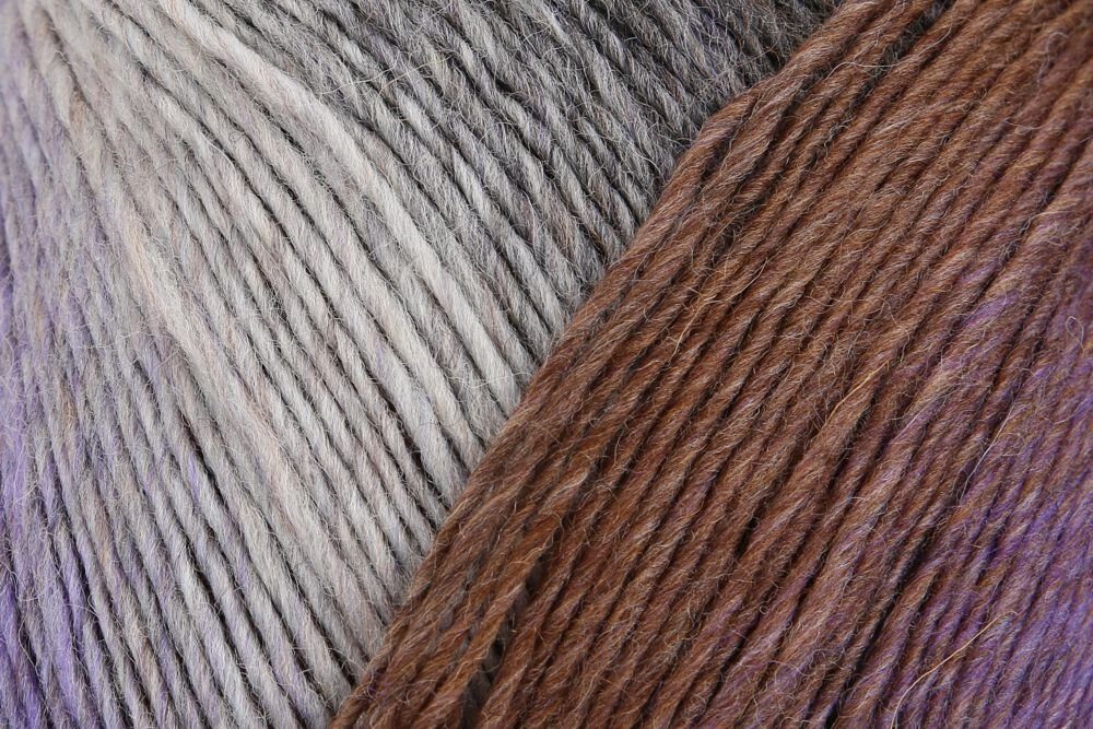 Regia dicke Sockenwolle wie 6fädig Virtuoso Color Strumpfwolle 6fach Häkelwolle, 375,00 m (150g Sockengarn wie 6-fädig / 6-fach, Wolle zum Stricken und Häkeln), Dochtgarn mit Farbverlauf