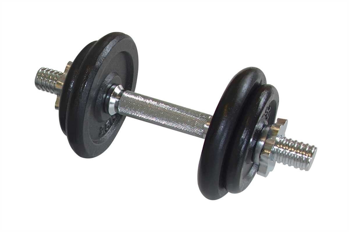 Schildkröt Hantel-Set FITNESS, (Set, mit Kurzhantelstange), inklusive Tragekoffer