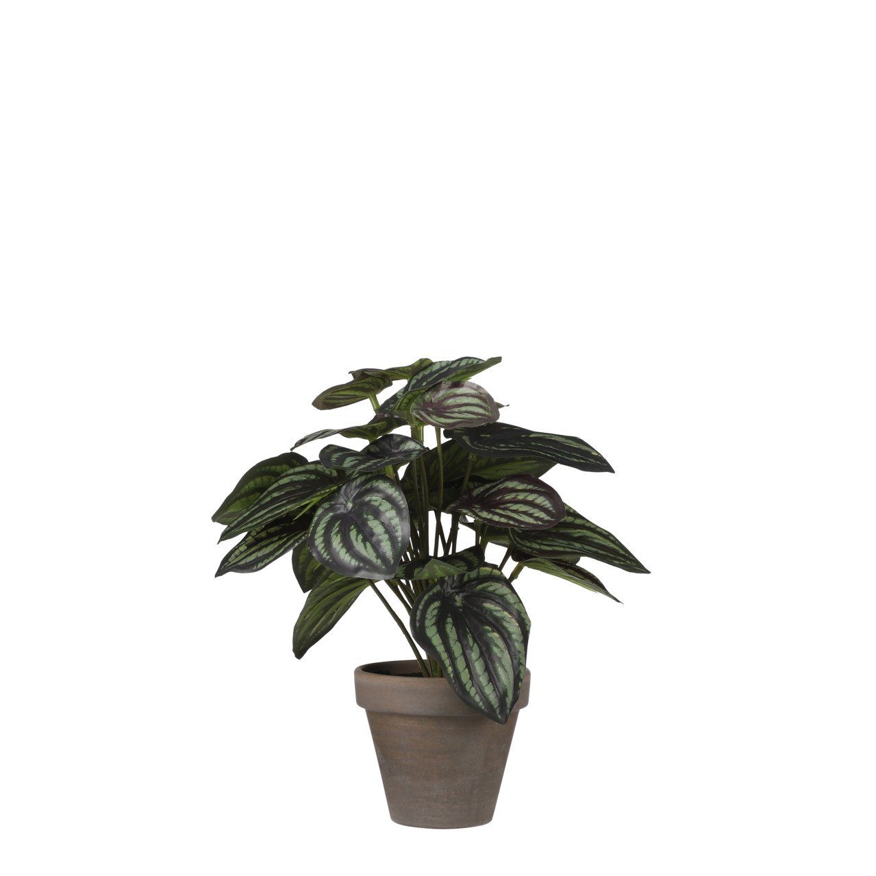 Kunstpflanze Mica Kunstpflanze Peperomia dunkelgrün, 24 günstig online kaufen