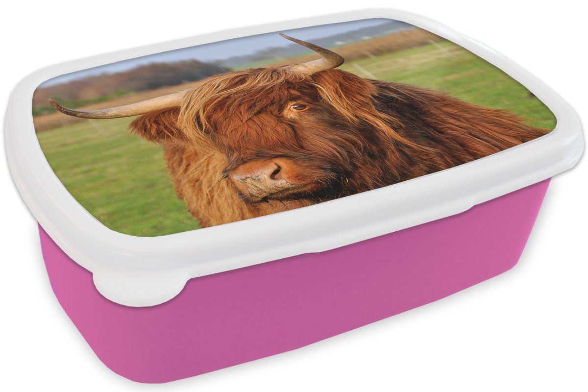 Kinder, für Gras Brotbox Mädchen, Baum, Kunststoff, (2-tlg), Schottischer Snackbox, Erwachsene, Kunststoff Highlander MuchoWow - - Brotdose Lunchbox rosa