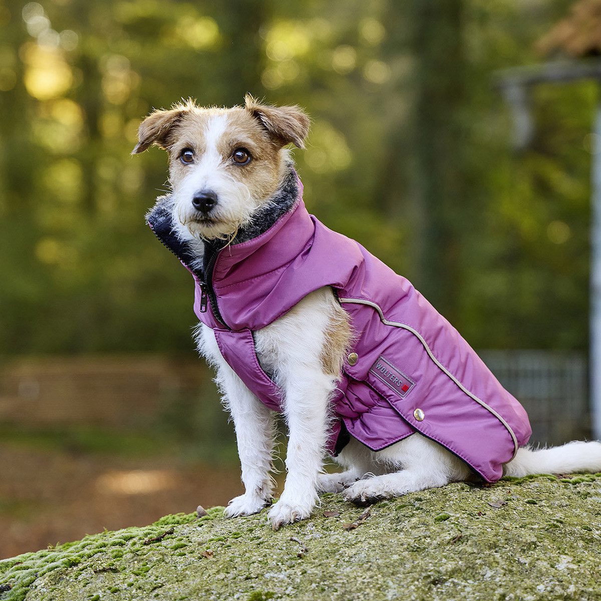 Wolters Hundemantel Winterjacke Amundsen himbeer