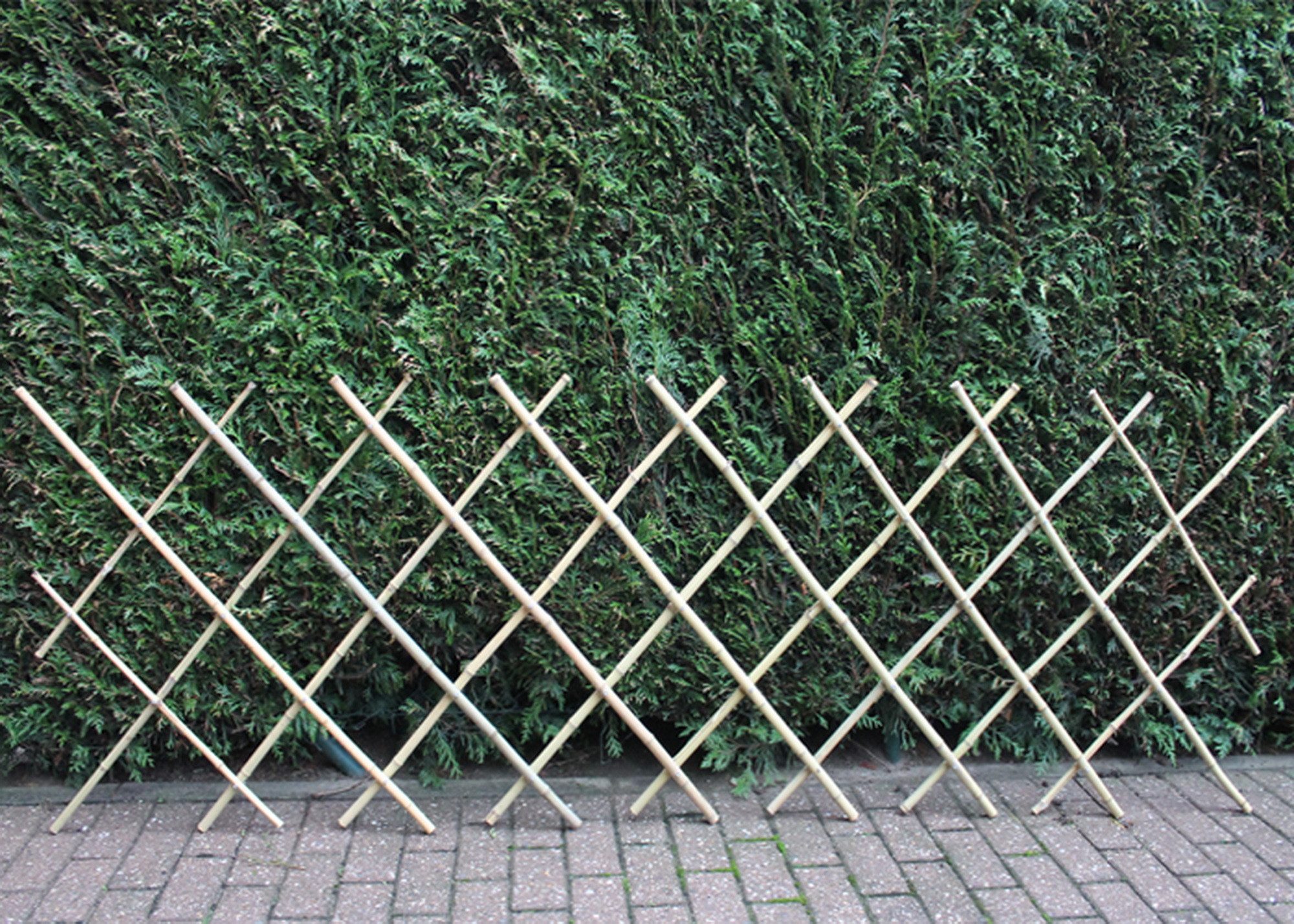 Bambus Gartenzune online kaufen  Bambuszune | OTTO