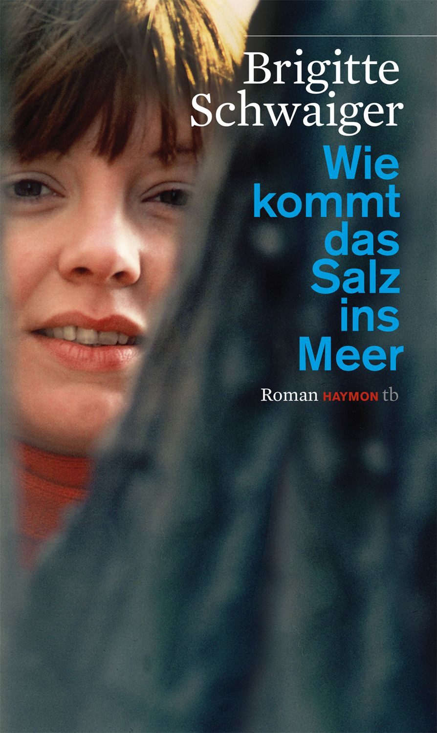 Wie kommt das Salz ins Meer / Brigitte Schwaiger