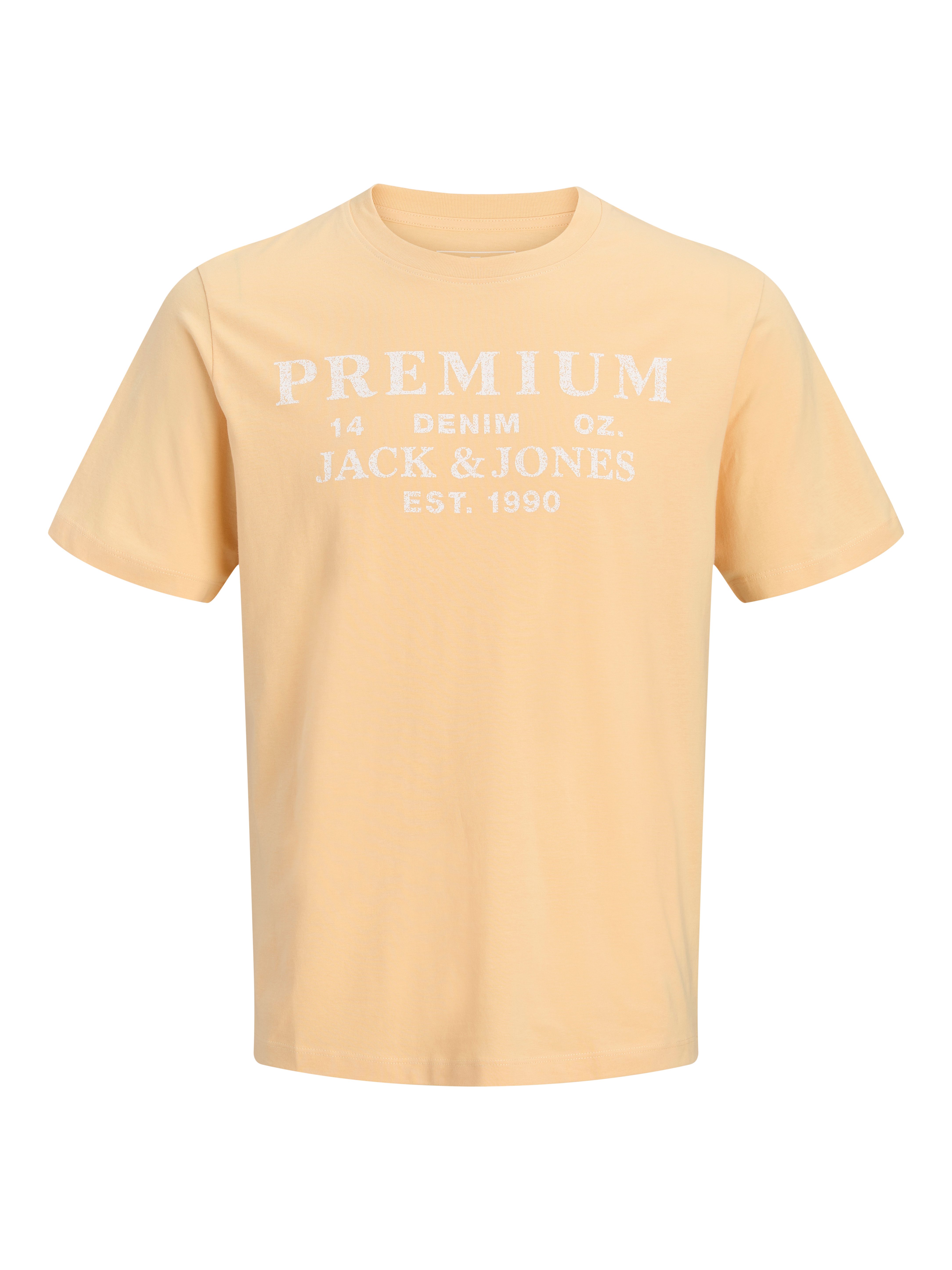 T-Shirt JPRBLUCALVIN SS TEE FST