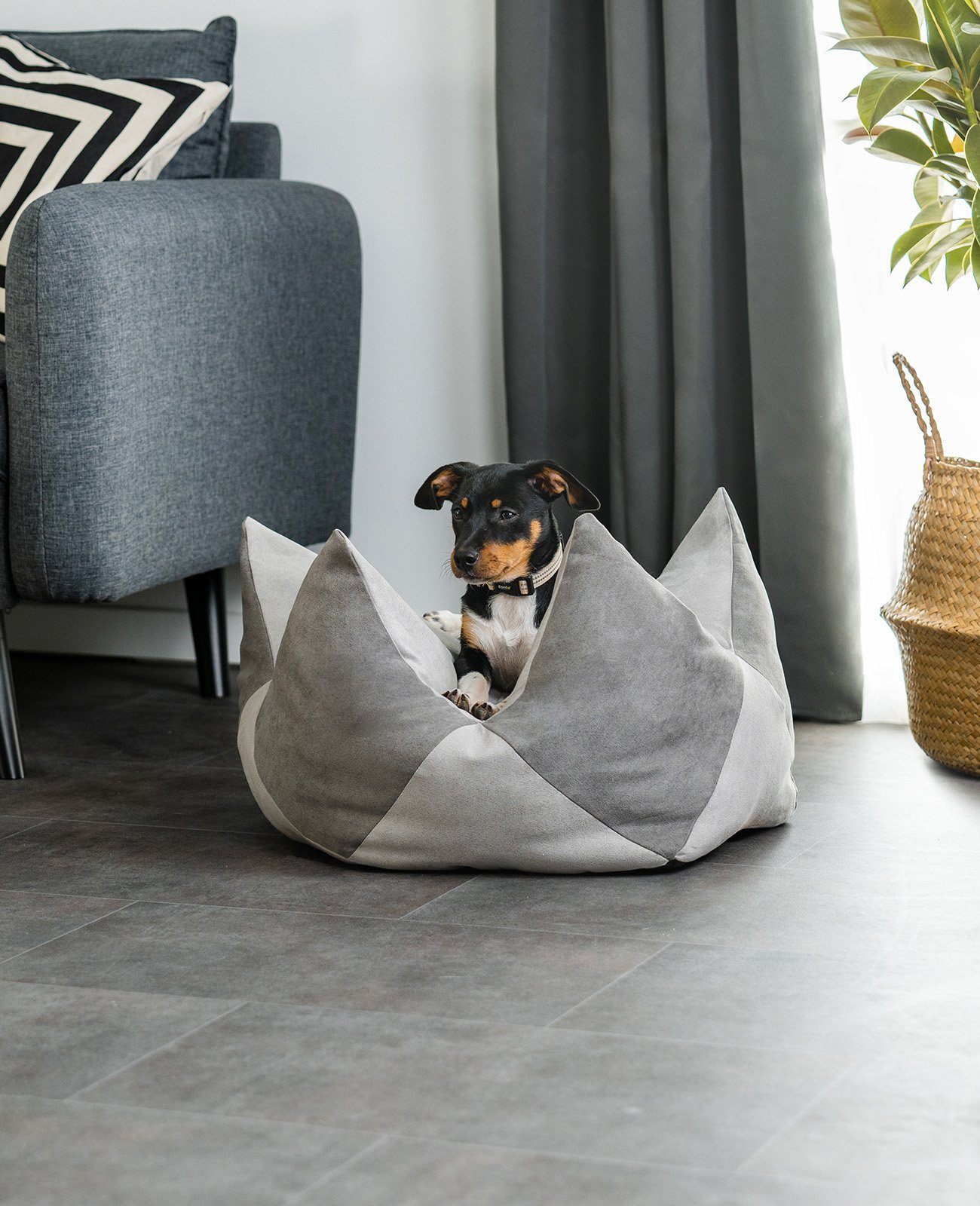 lionto Tierkissen lionto Kronenkissen für Hunde und Katzen, verschiedene Gr günstig online kaufen