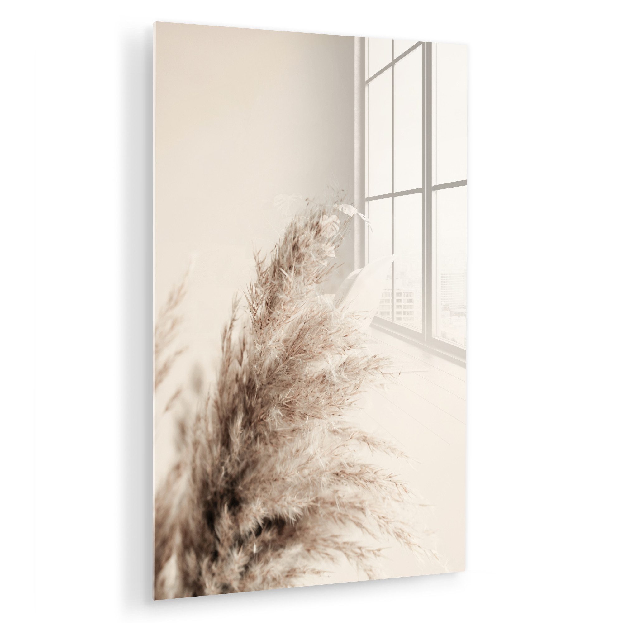 MuchoWow Acrylglasbild Pflanzen - Pampaswedel - günstig online kaufen