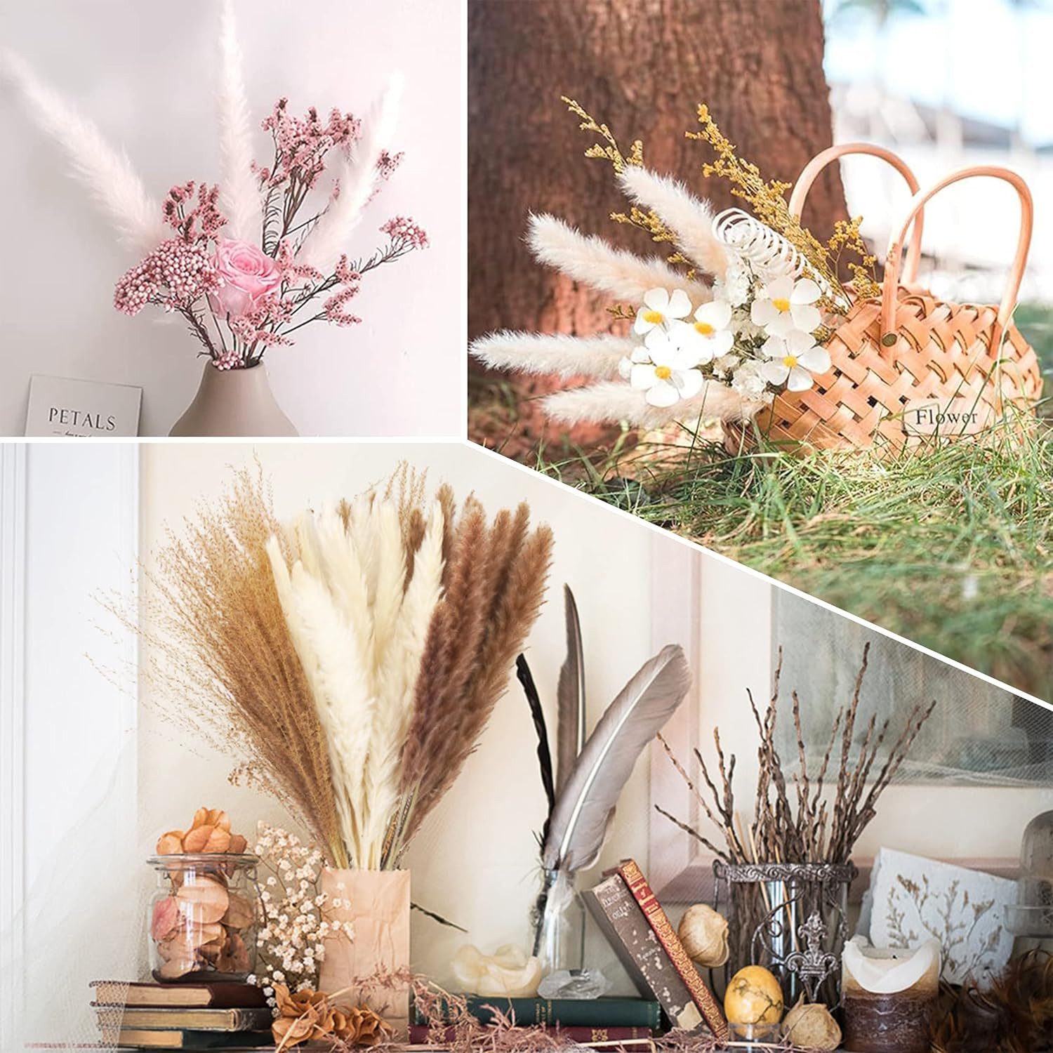 Trockenblume für Hochzeits-Boho-Blumen und Tischdekoration zu Hause, Agger