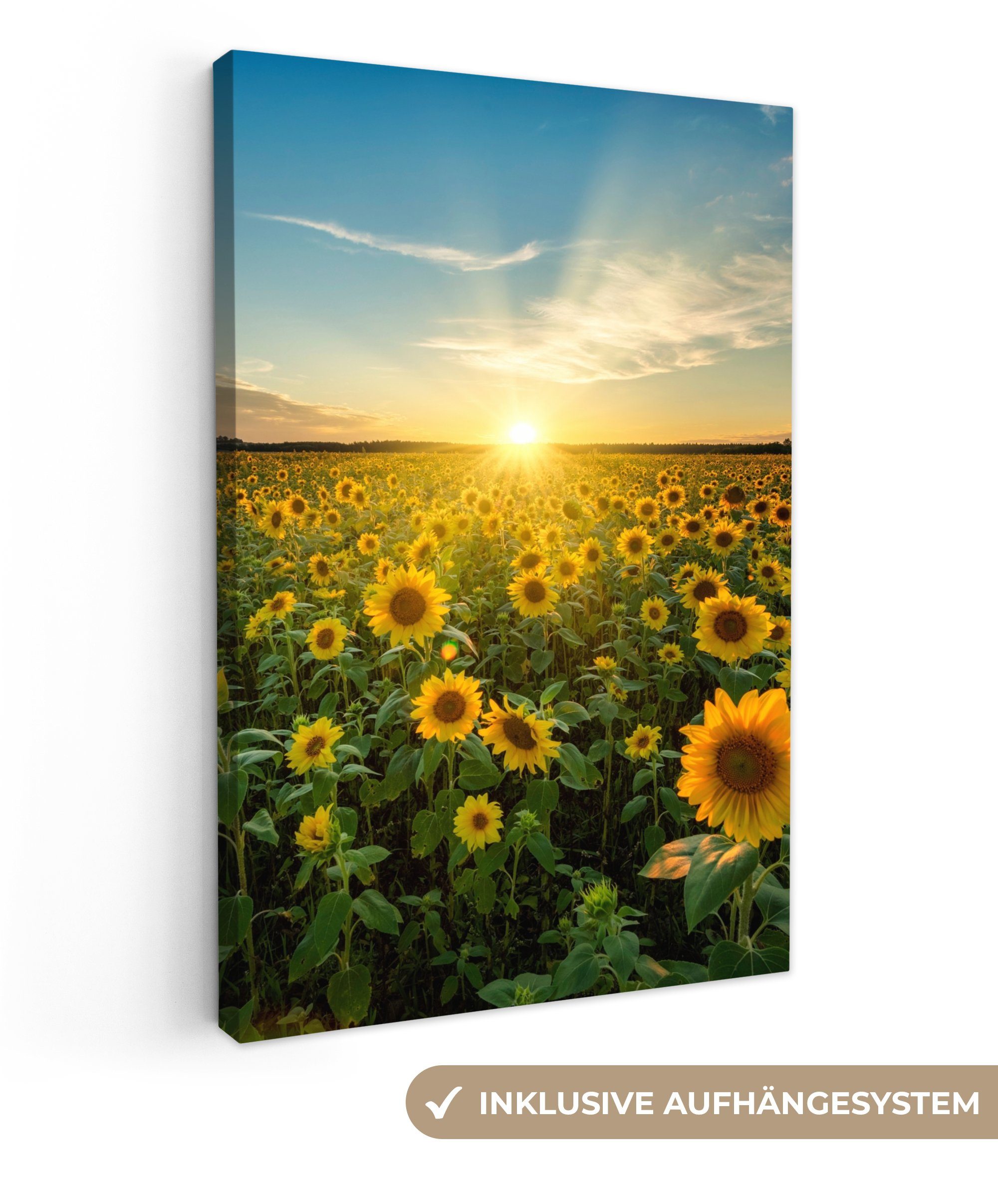 OneMillionCanvasses® Leinwandbild Sonnenuntergang - Blumen - günstig online kaufen
