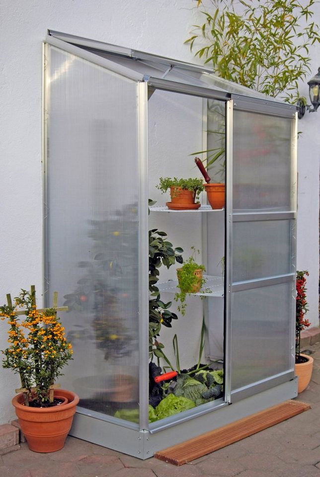 Vitavia Anlehngewächshaus Osiris 900, BxTxH: 131 x 69 x 182 cm, 4 mm Wandstärke silberfarben Vitavia Anlehngewächshaus Osiris 900, BxTxH: 131 x 69 x 182 cm, 4 mm Wandstärke silberfarben