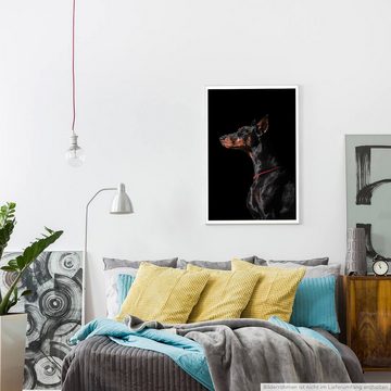 Sinus Art Poster Tierfotografie 60x90cm Poster Porträt eines schwarzen Dobermanns von der Seite