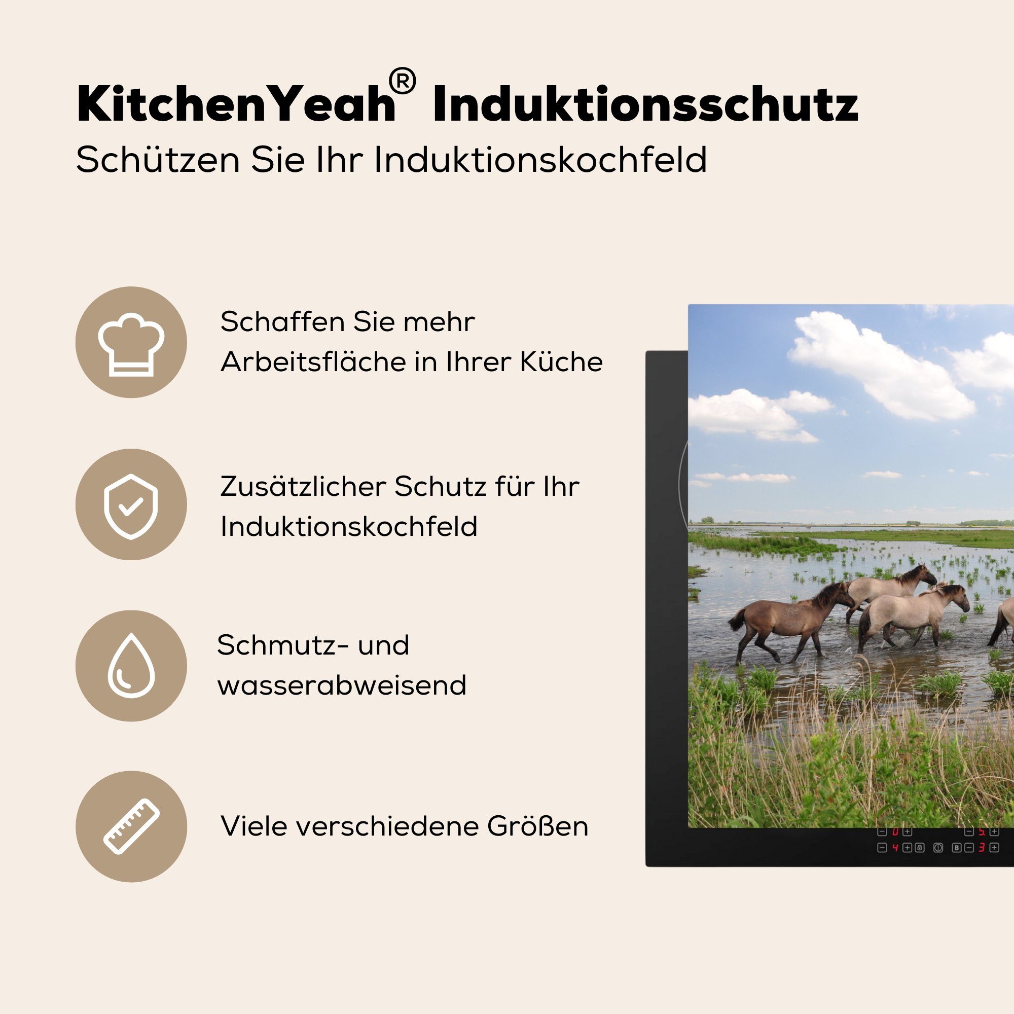 MuchoWow Herdblende-/Abdeckplatte Pferde - (1 81x52 tlg), die Vinyl, küche, Ceranfeldabdeckung Lauwersmeer, cm, Induktionskochfeld für - Wasser Schutz